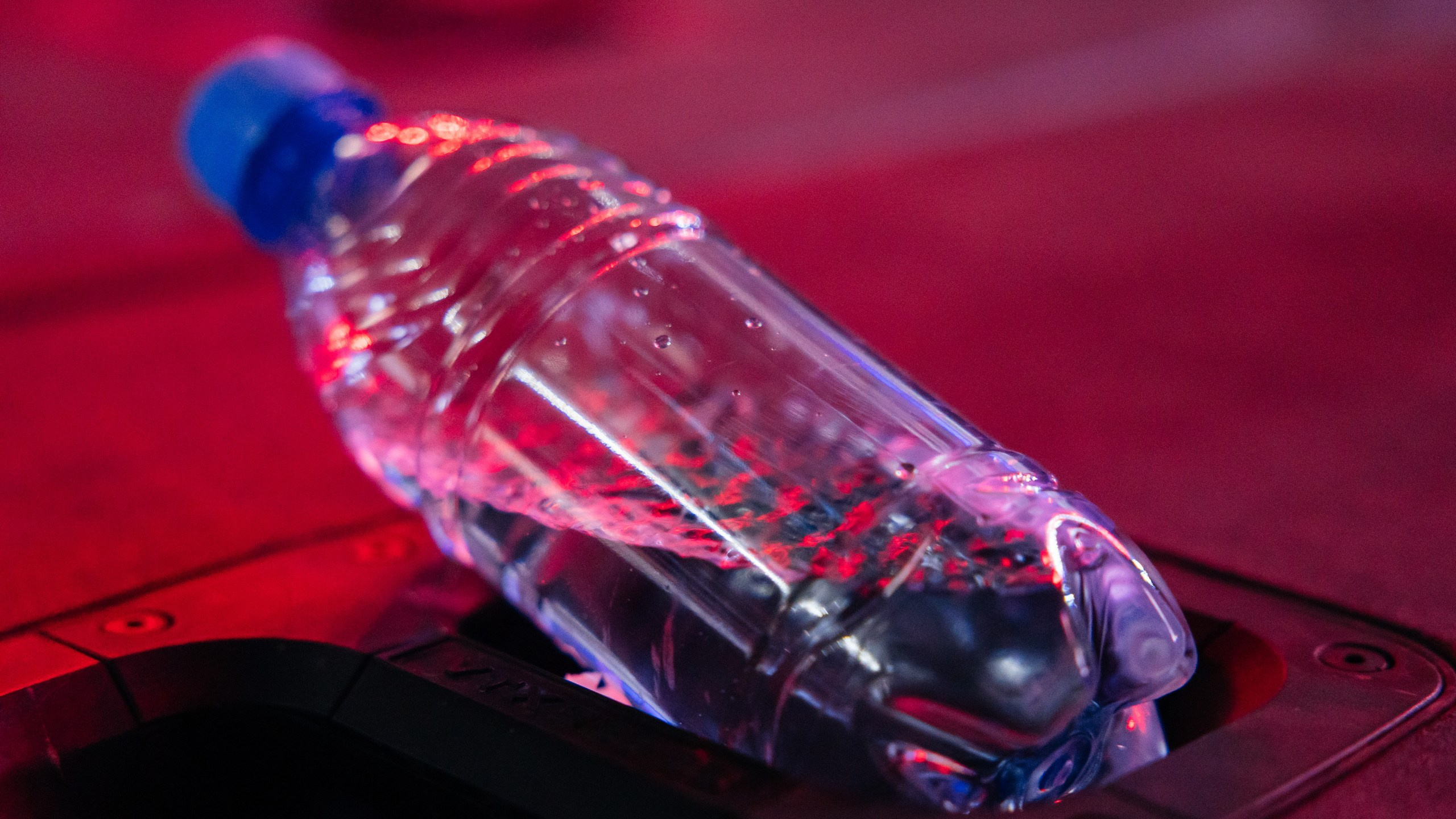 Проект 4. BeuFest. Дата: декабрь 2022. Профессиональный фотограф в городе Астана/Алматы Даурен Сембаев