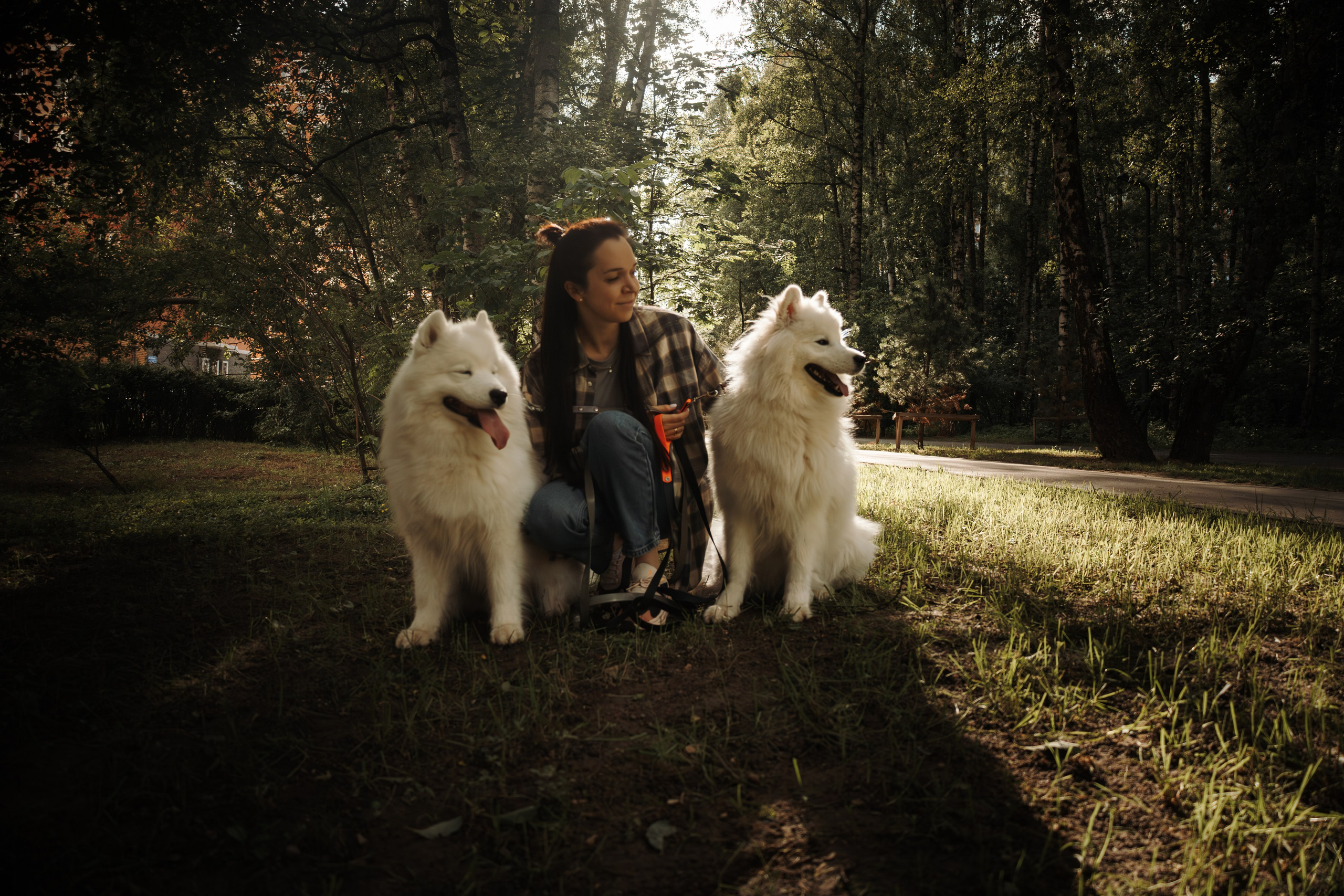 Фотосессия девушки с 2 собаками самоедами в лесопарке. Фотограф-анималист в Москве Екатерина Тихонова
