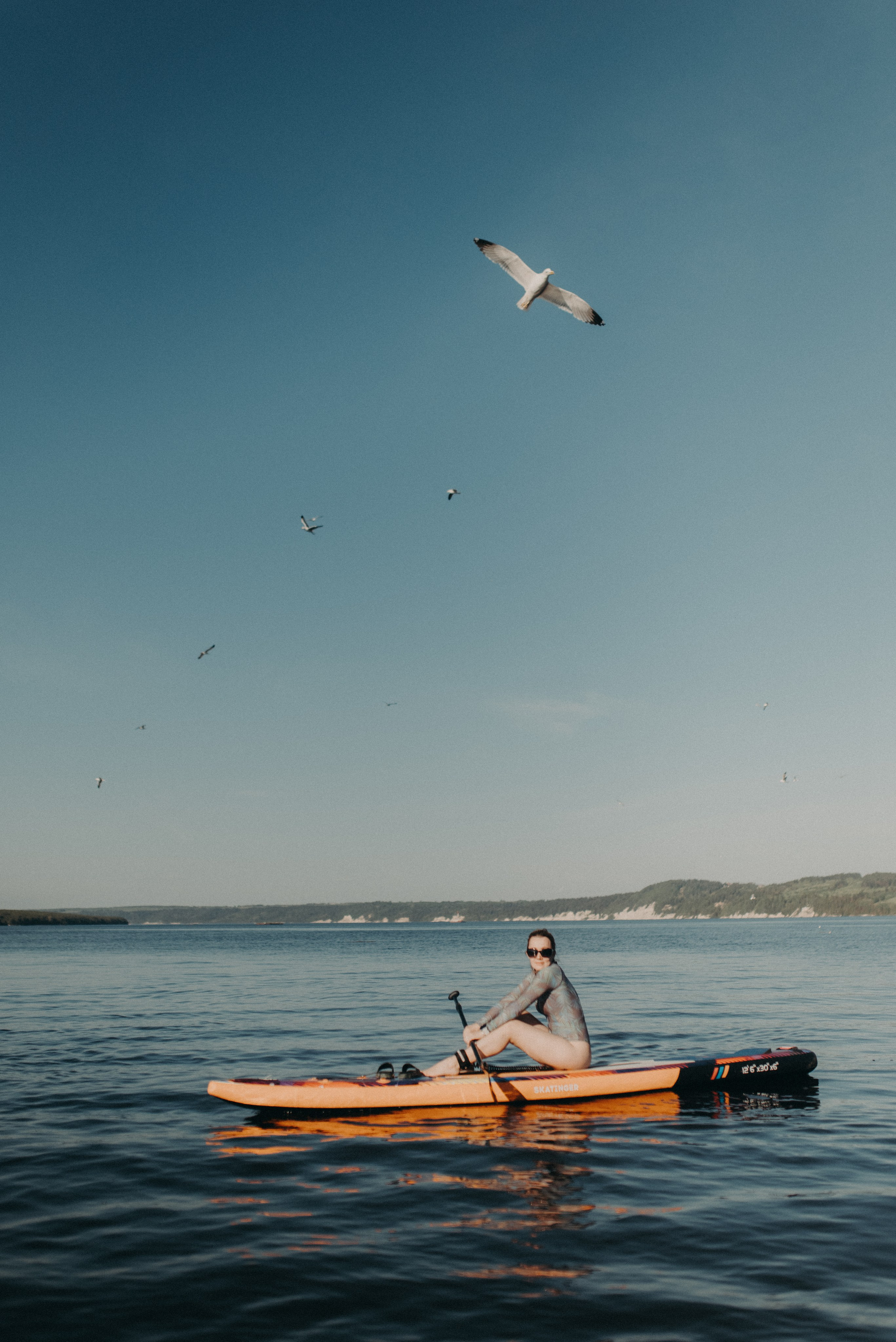 Шалаш среди леса. Главная