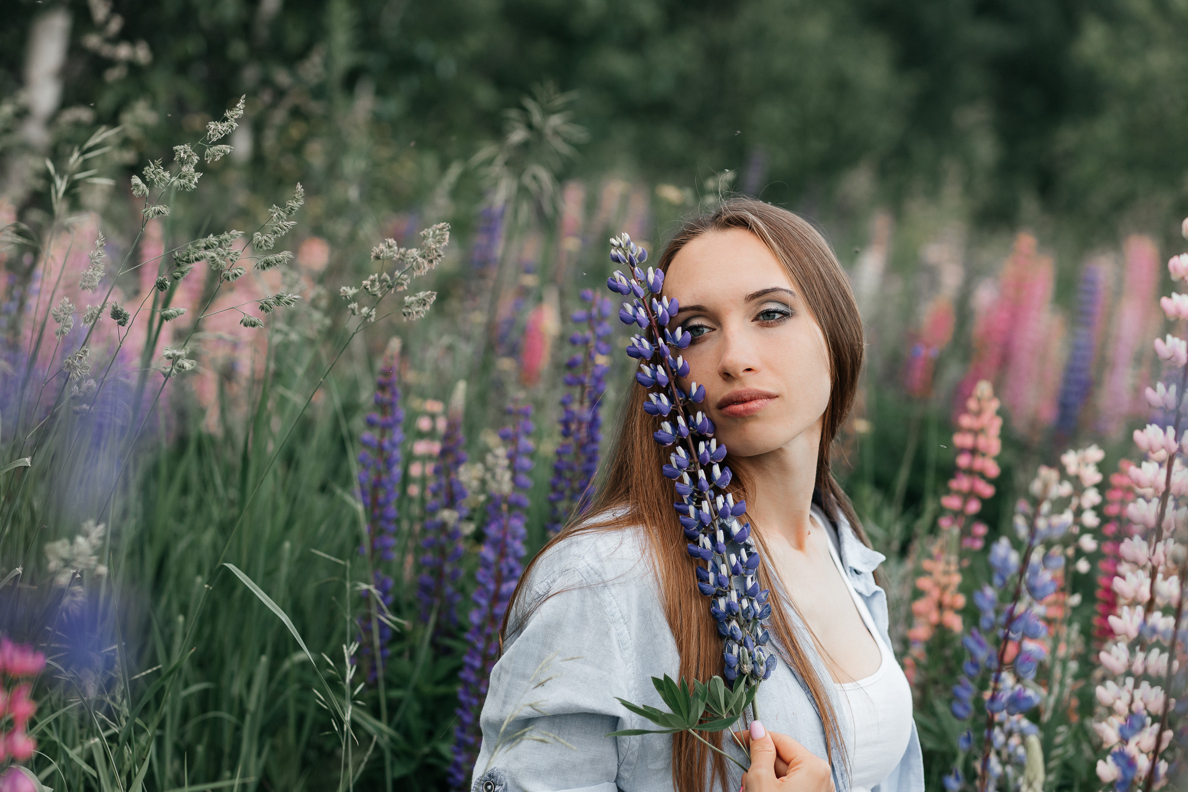 У всех должны быть фото с люпинами. Фотограф в Новосибирске