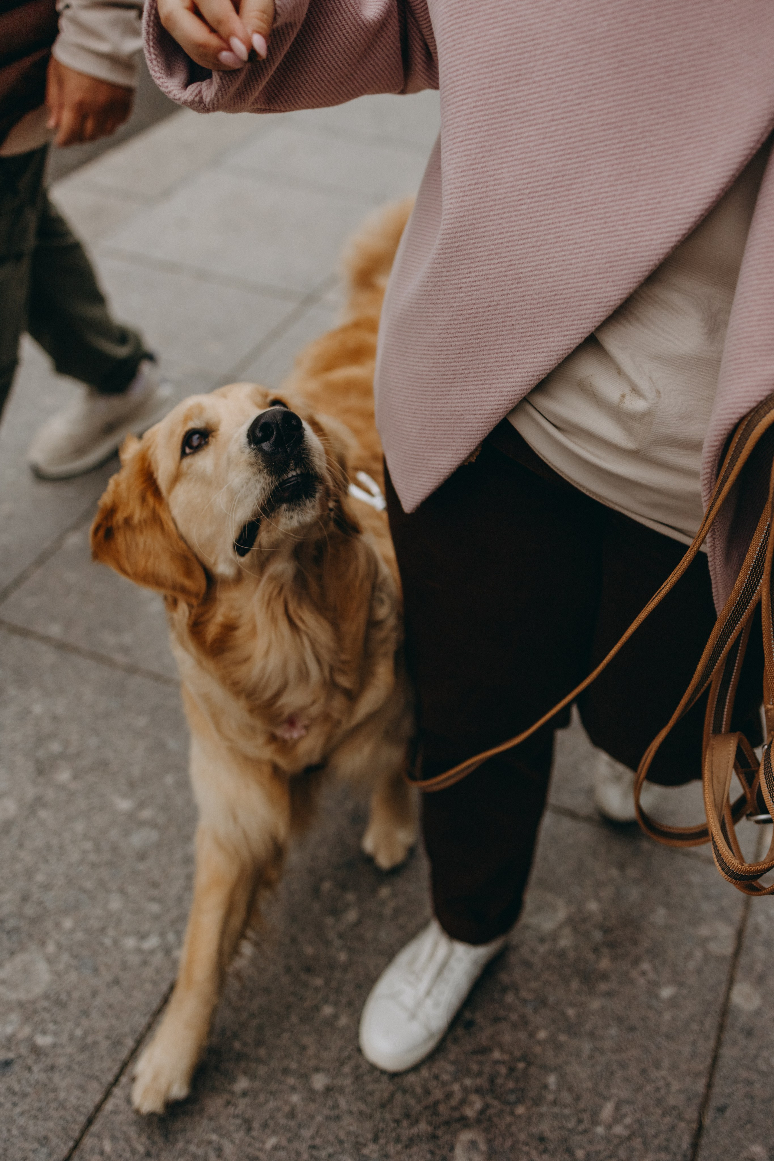 Бетти и ее семья. Фотограф — Анималист | Санкт-Петербург