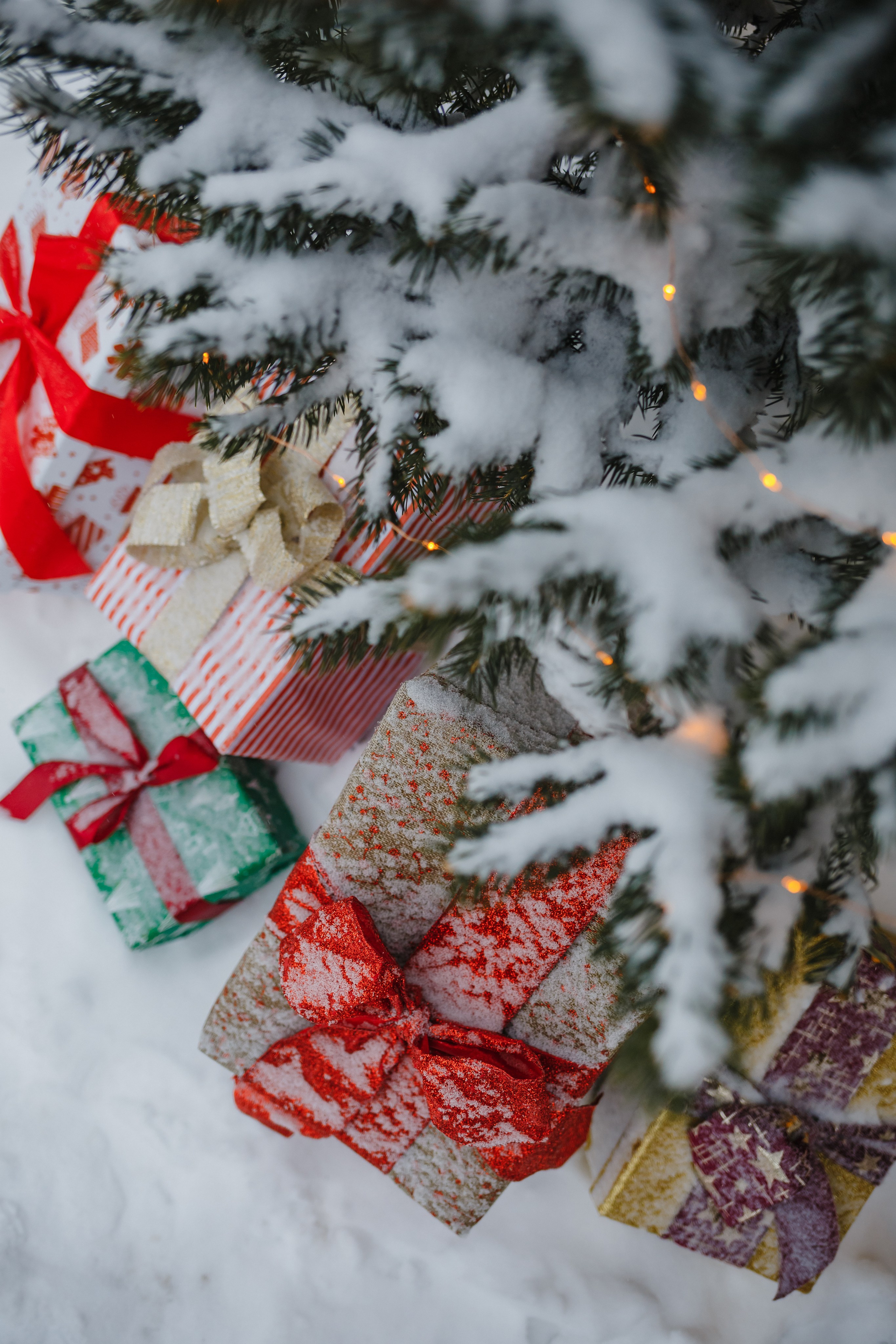 Наталья. Семейный фотограф Николаева Ольга