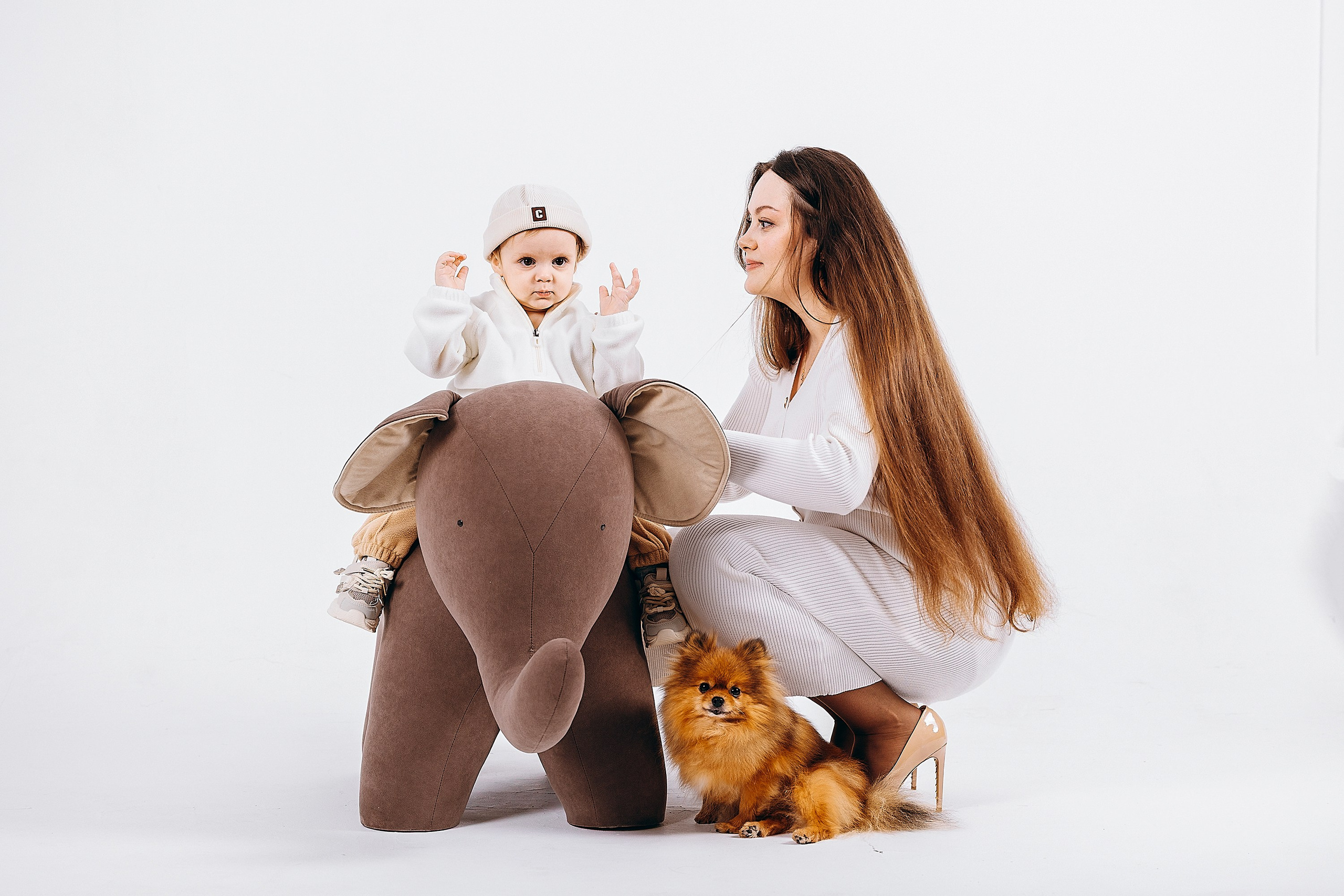 1 год Давиду. Фотограф. Фотограф-анималист. Москва