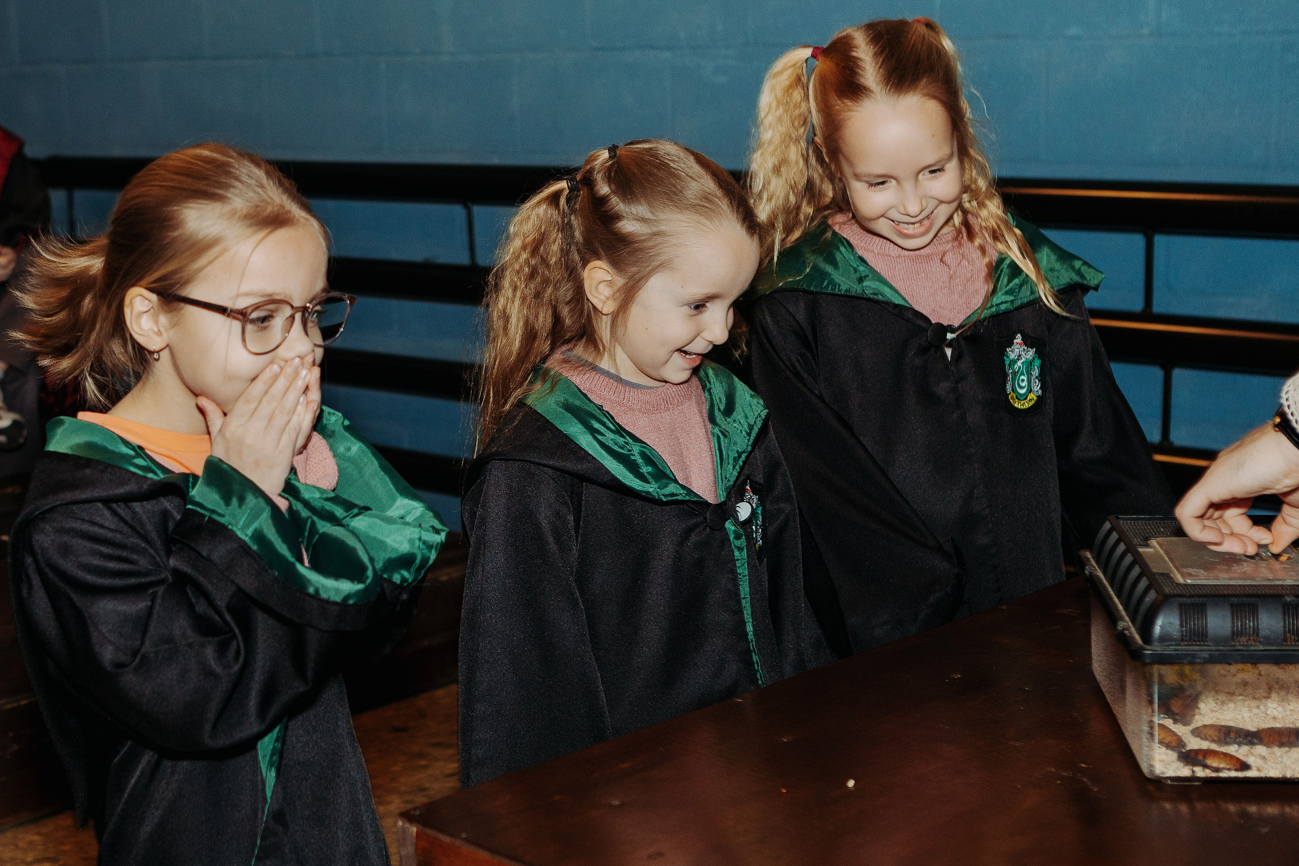 День рождения в стиле Гарри Поттера. Фотограф в Красноярске по выгодной цене