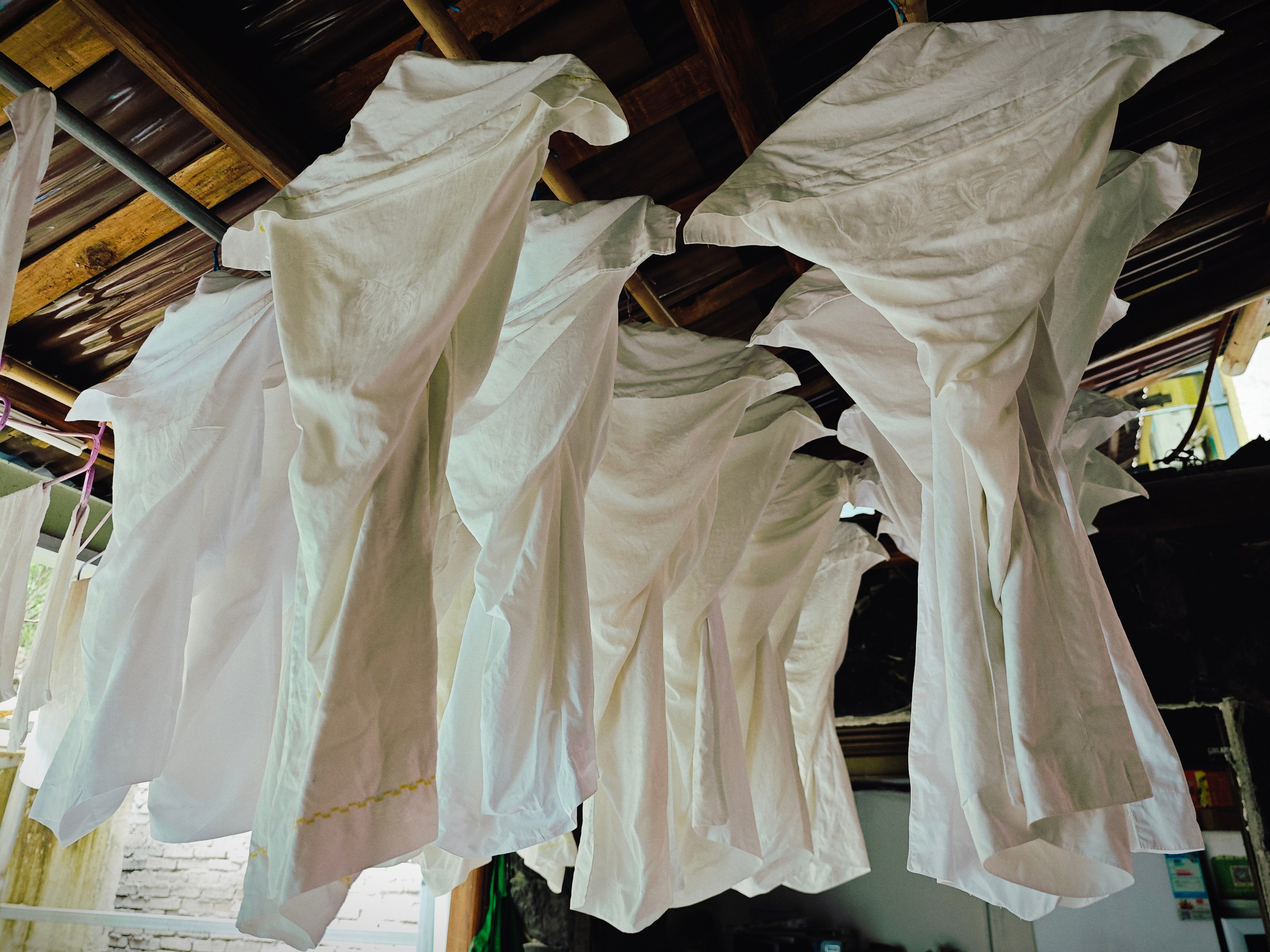 The Great Journey to China. Brjankin.com