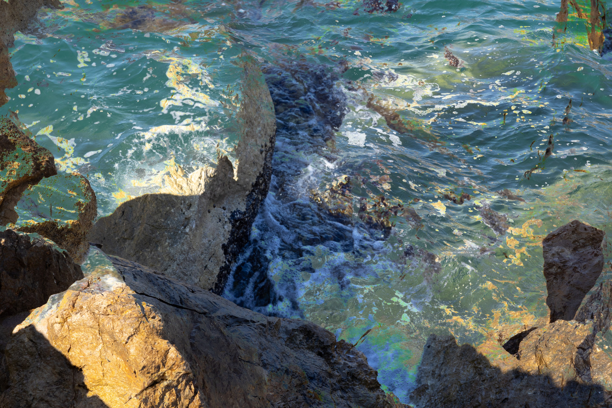 Точка сборки | The assembly point. Фотограф алина стерхова, алина стерхова фотограф, фотограф москва