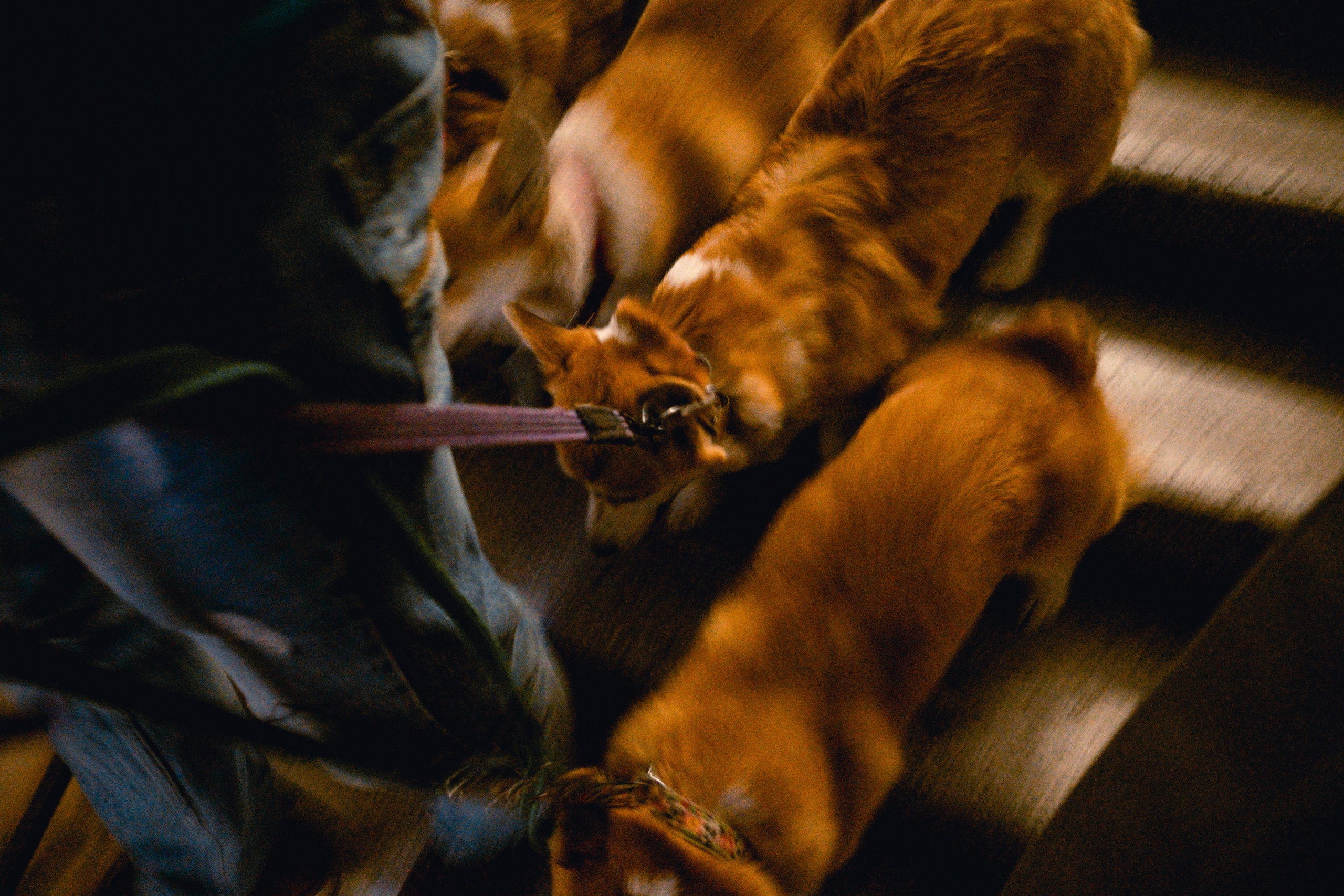 Репортаж. Stanislav Liepa Photography