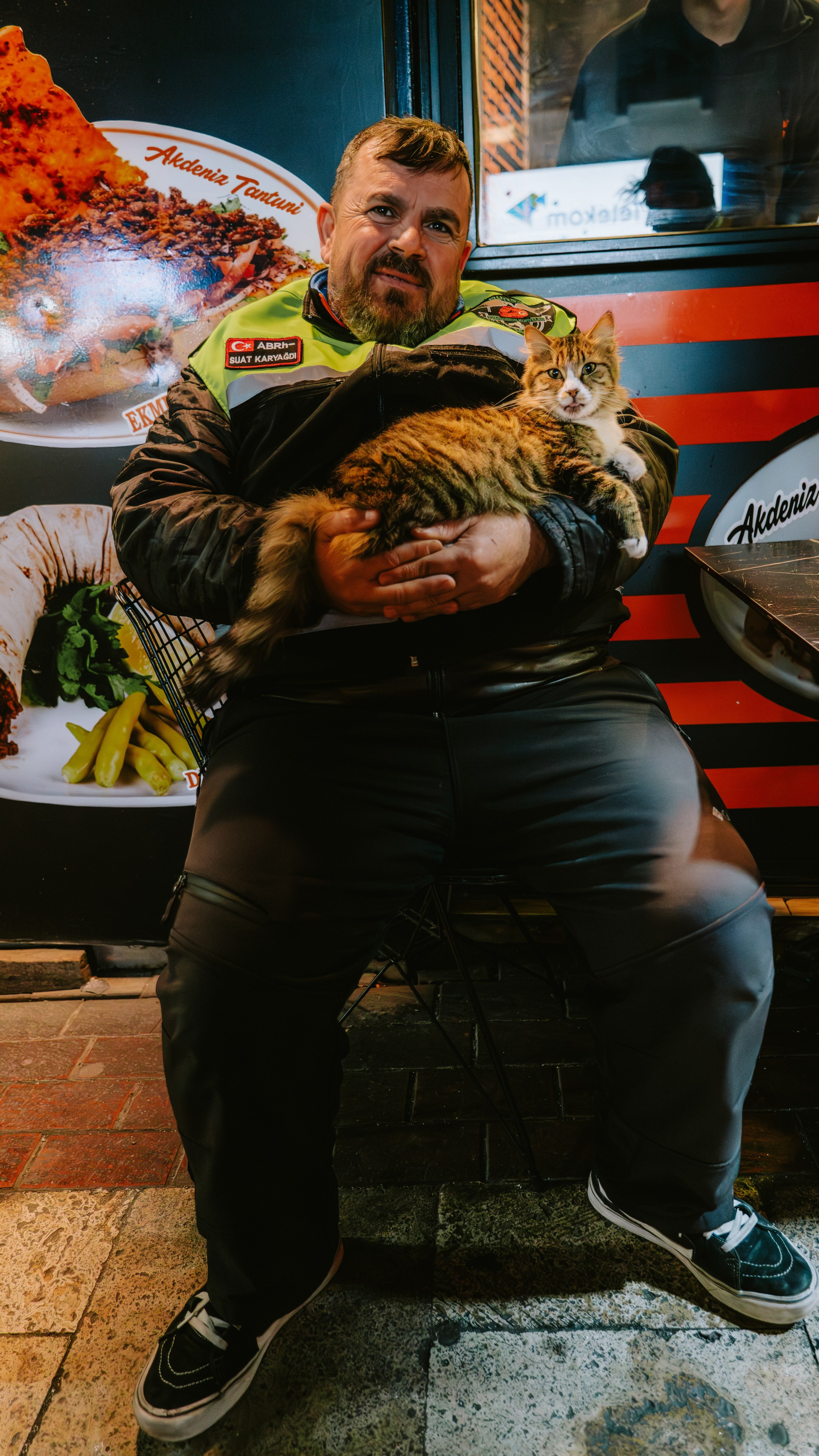 Кошки. Фотографии Дмитрия Захаренко