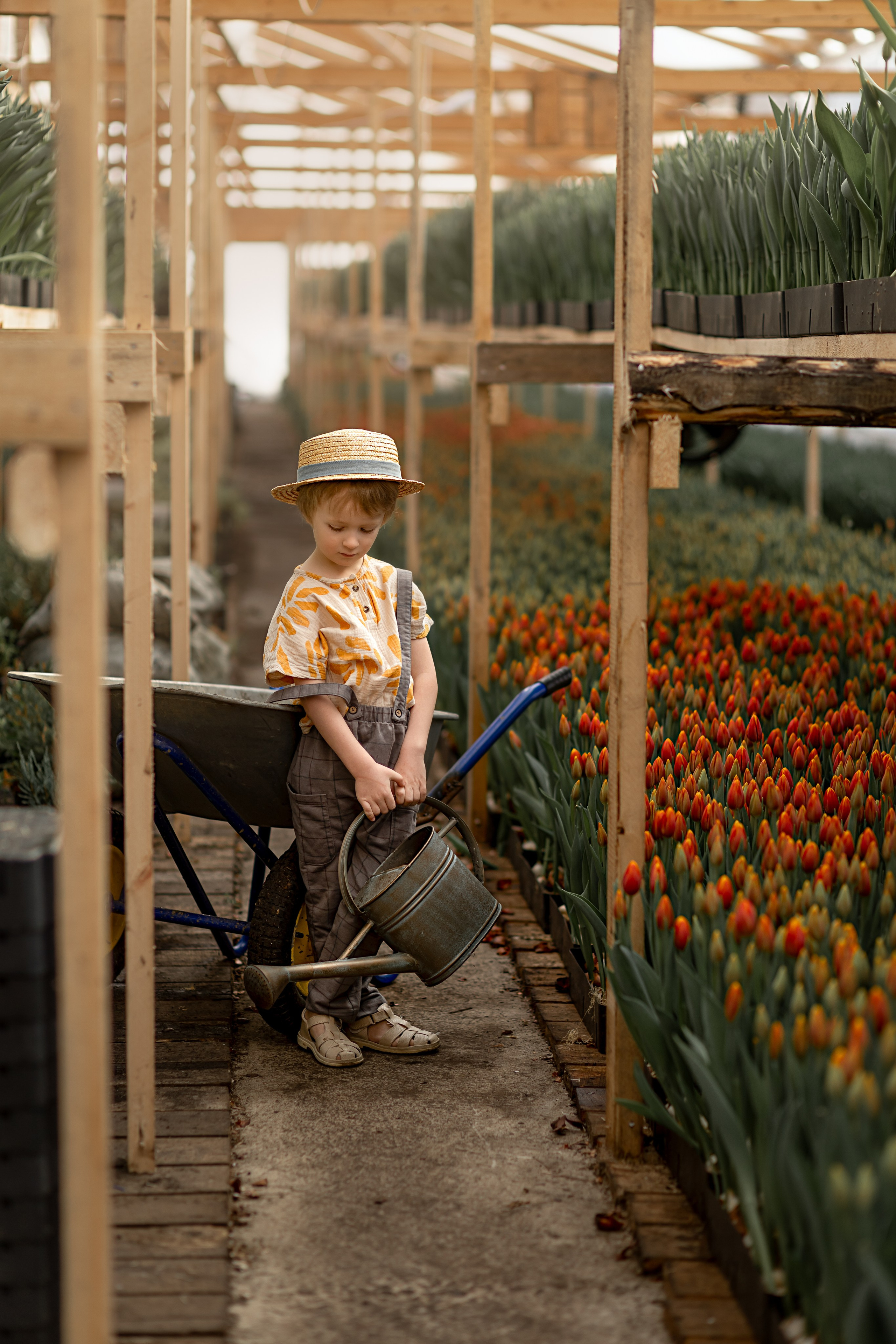 В теплице. Детский и семейный фотограф в Красноярске Елена Коровкина