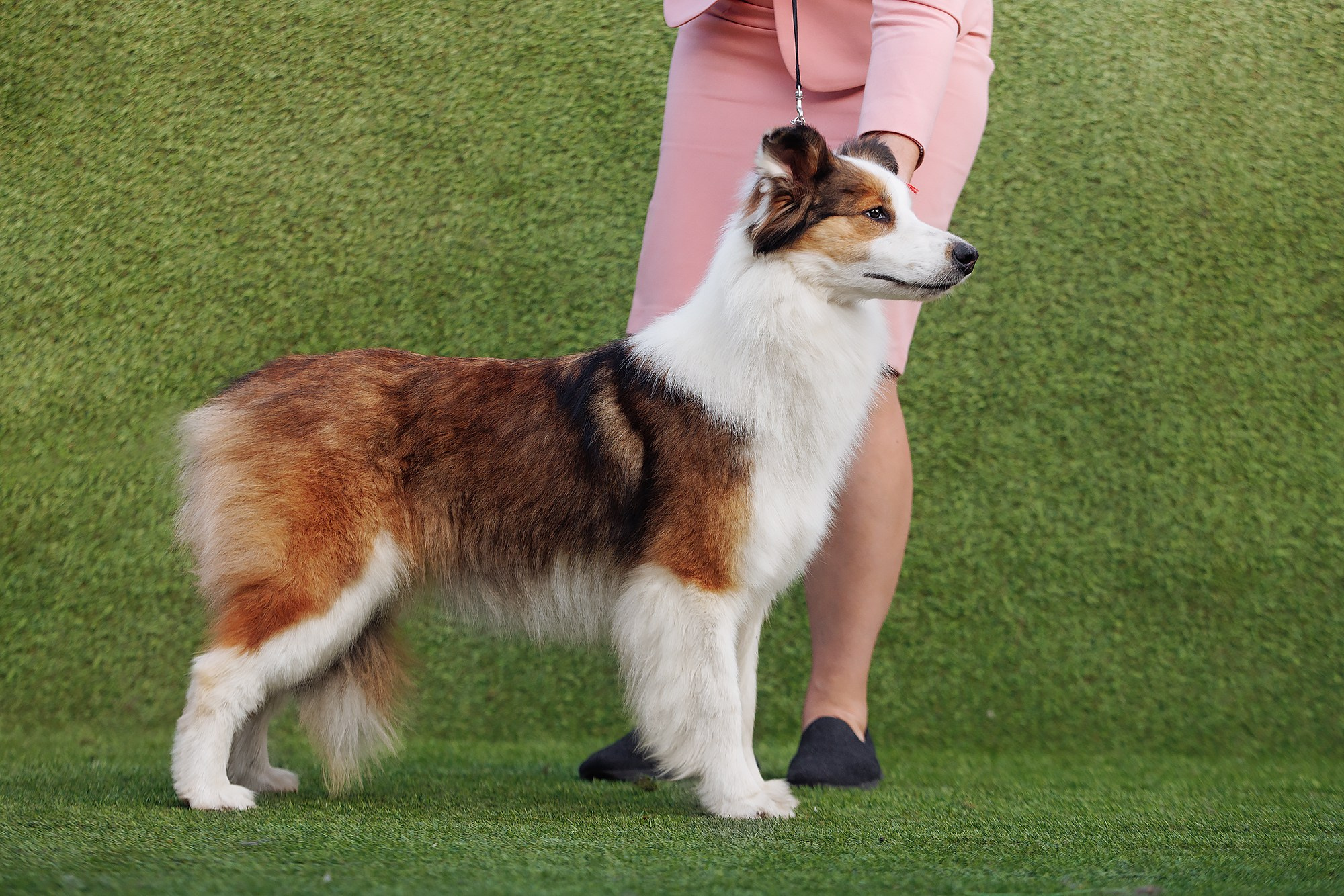 Трава у дома. О нас