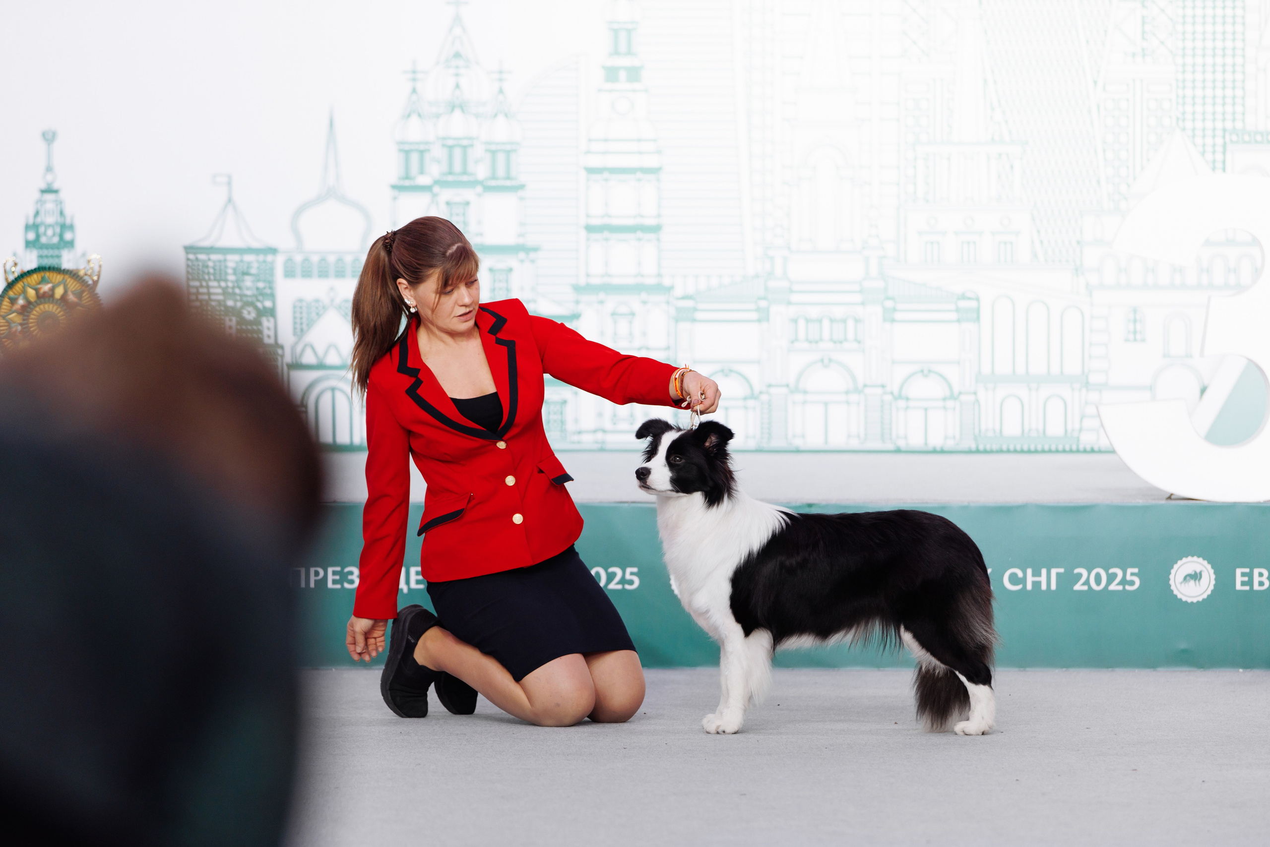 Евразия 25. О нас