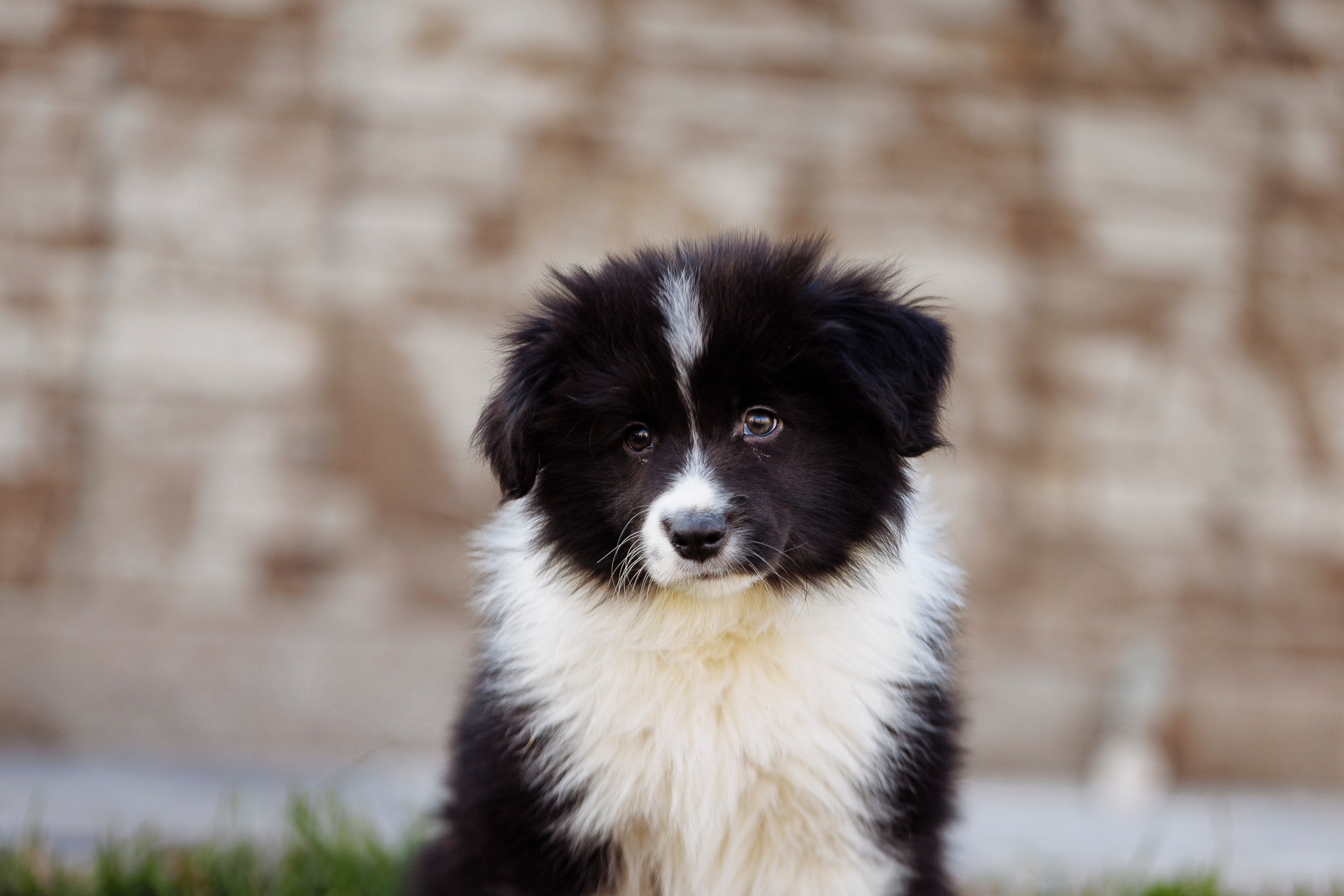 У дома с большой компанией от мала до велика. О нас