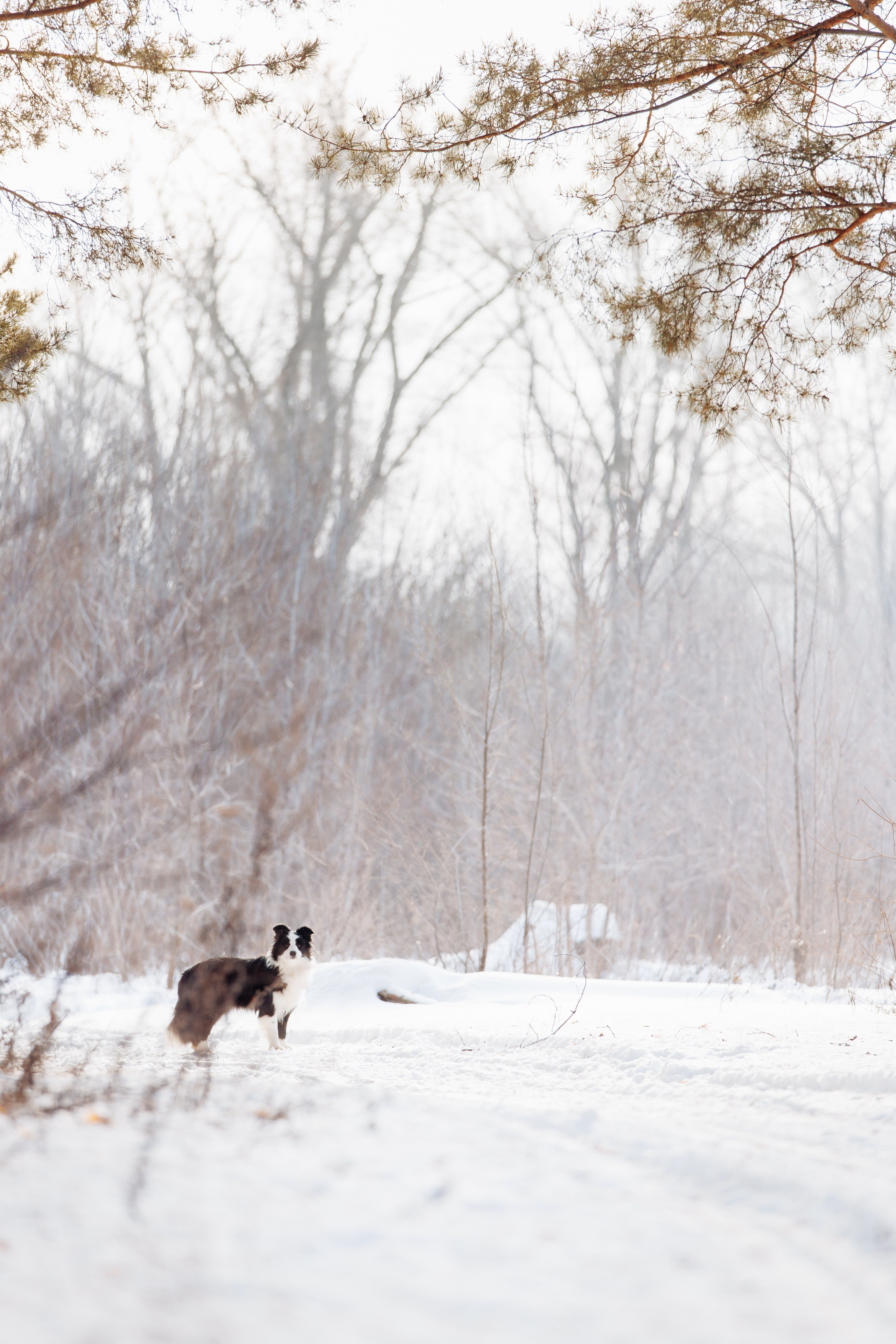 Яркий январь. О нас