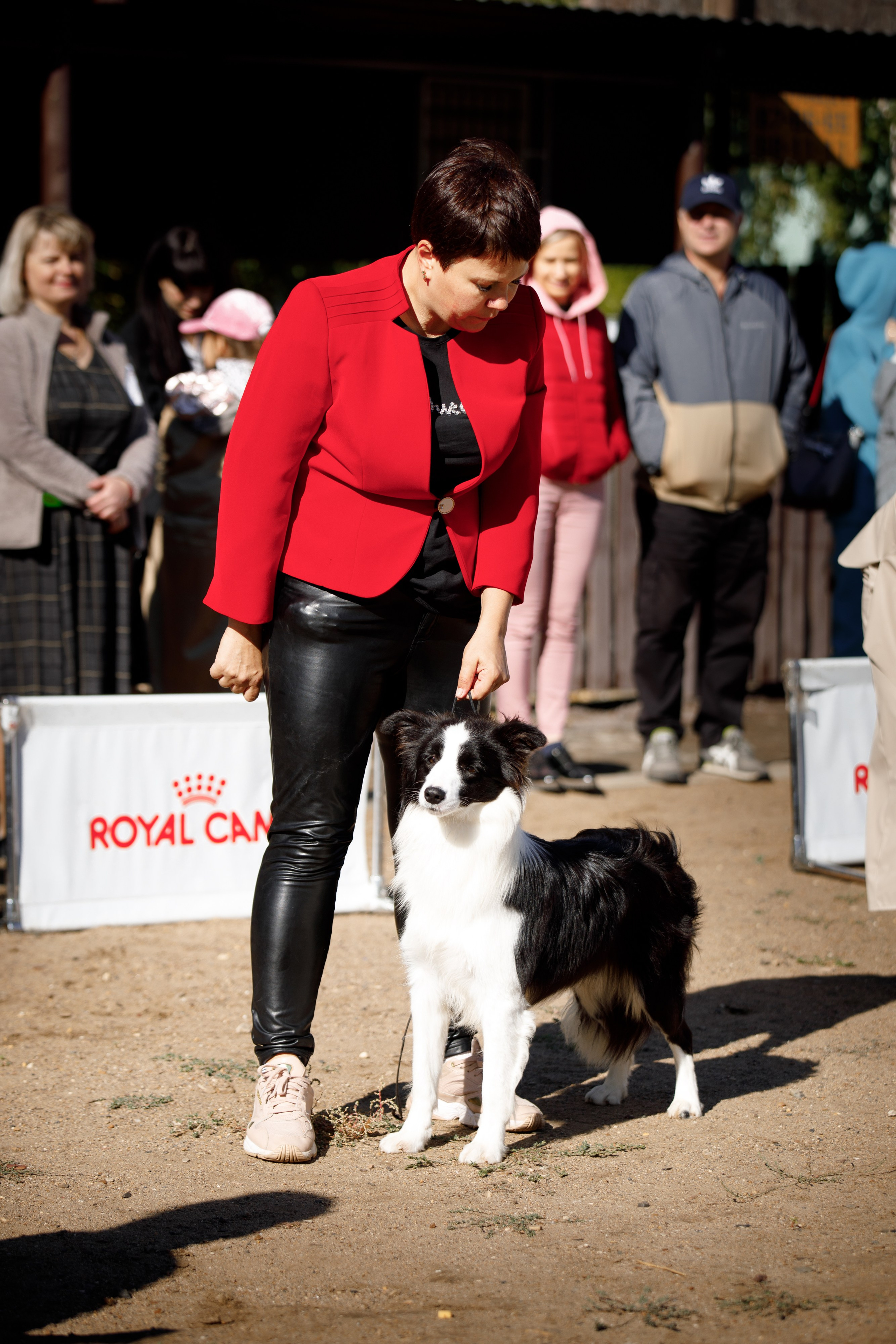 Водяные в Новотроицке. О нас