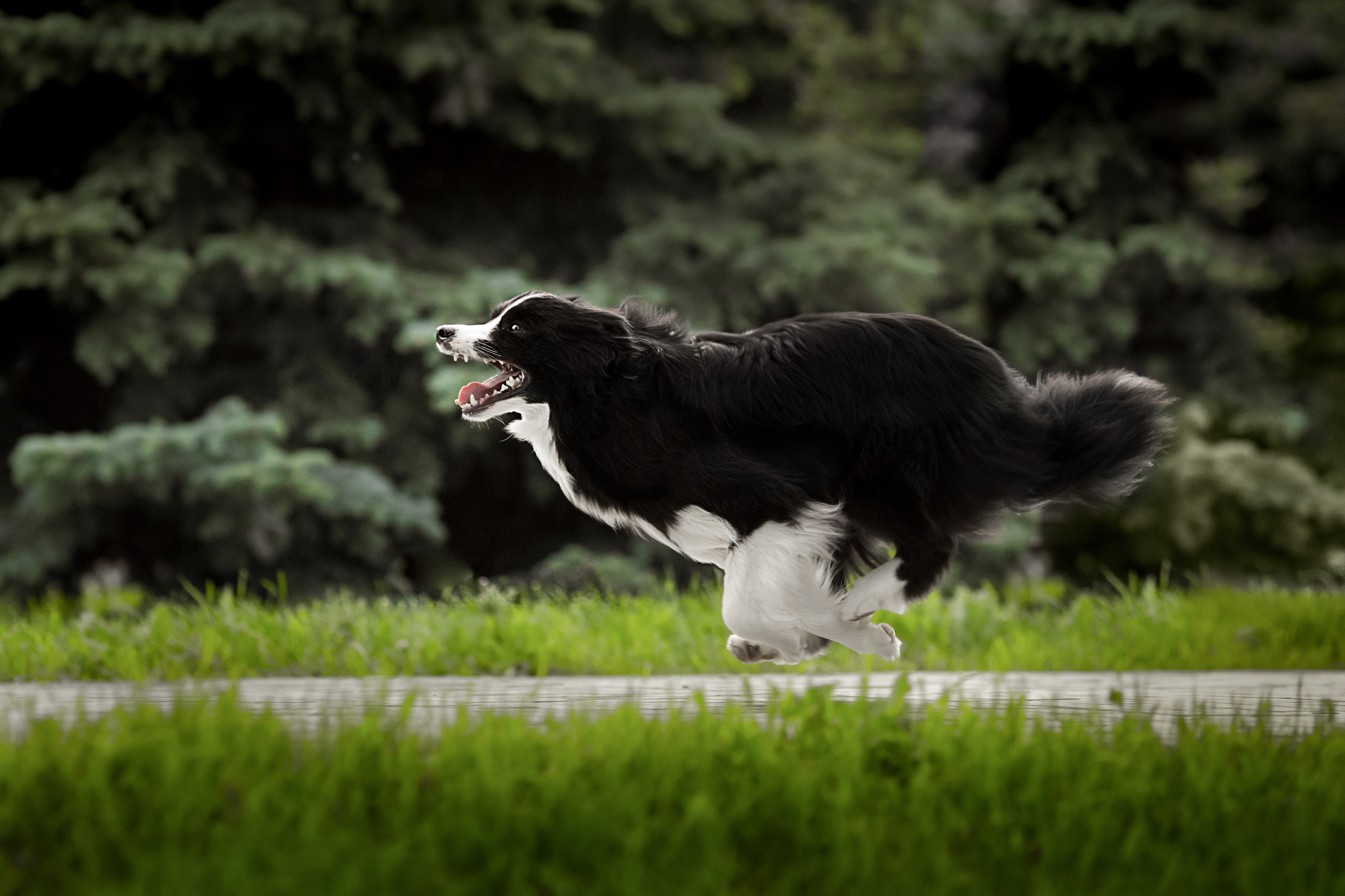 Роскошь в ростошах. О нас