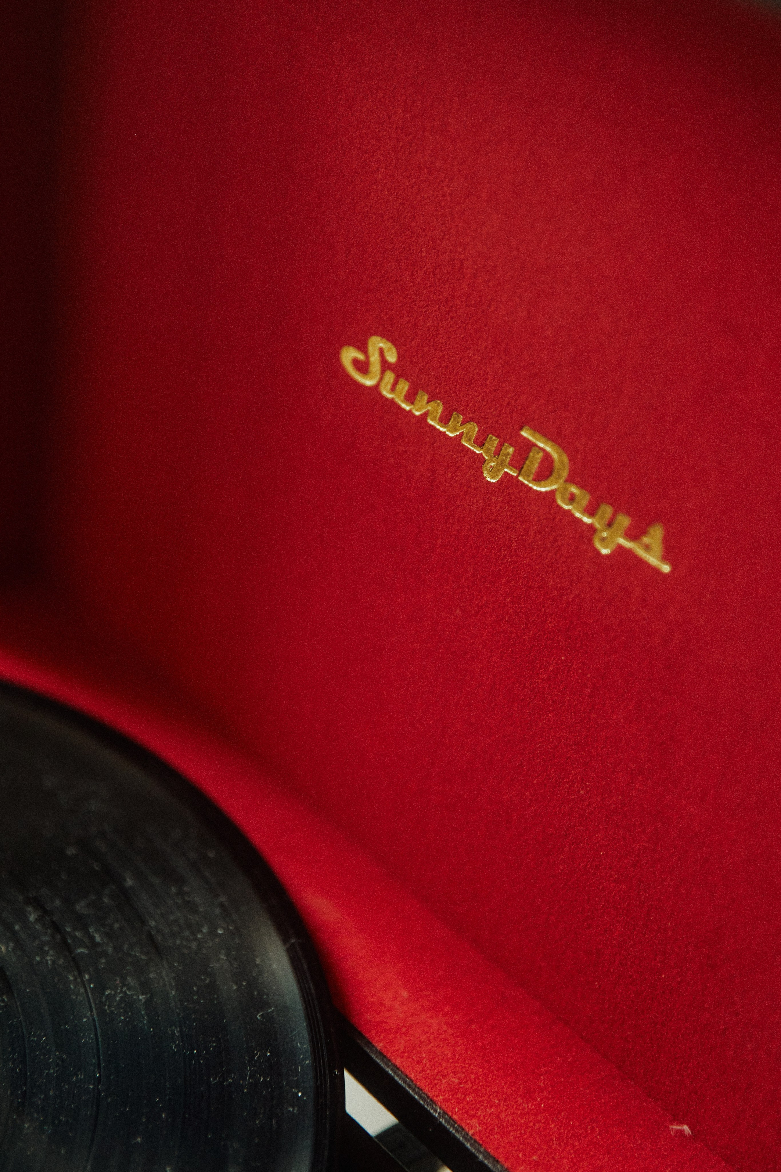 AMORE DA CINEMA. Дмитрий Мазуркевич: Профессиональный Репортажный Фотограф