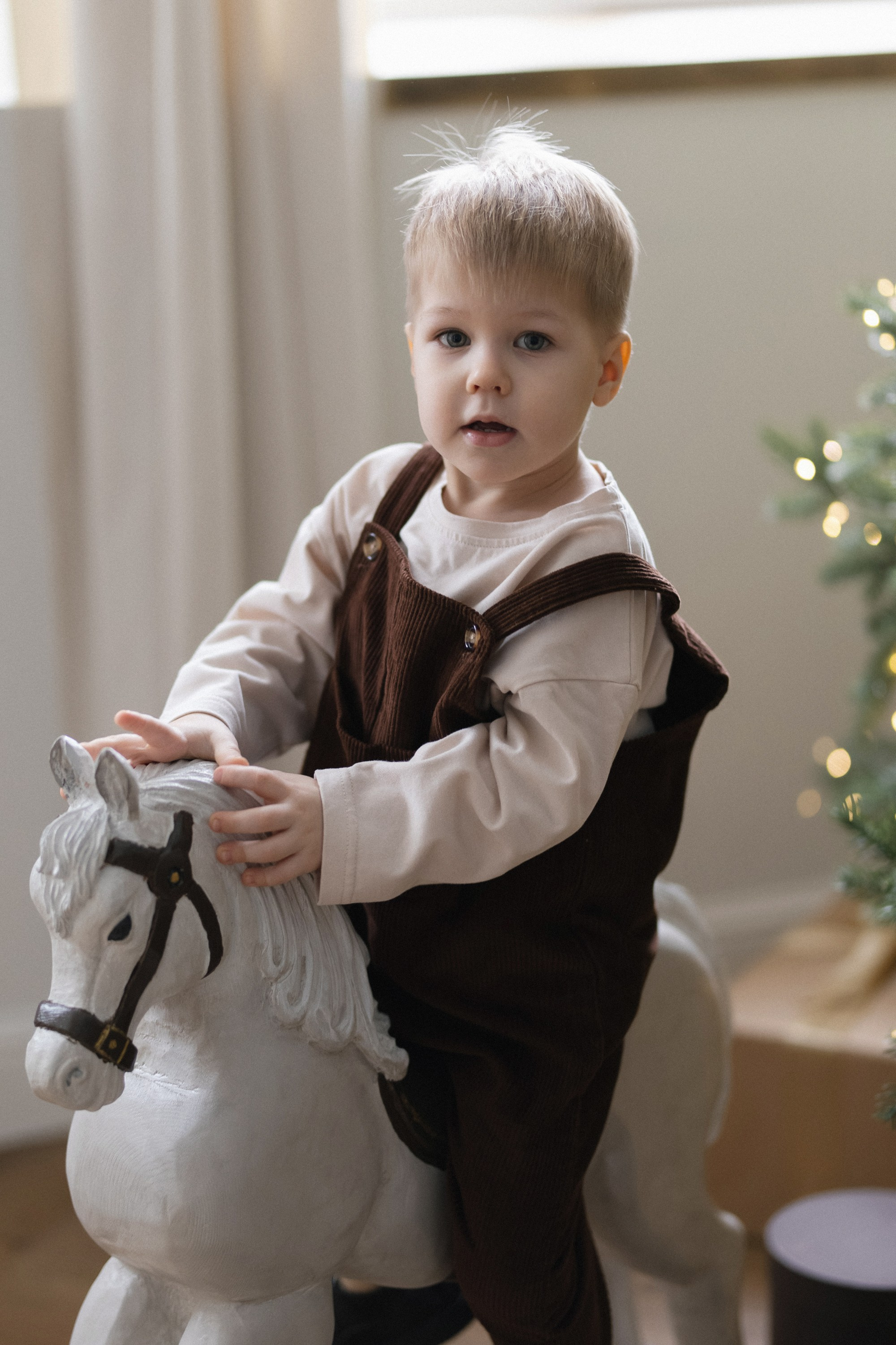 «В ОЖИДАНИИ НОВОГО ГОДА». Maria Startseva Photo