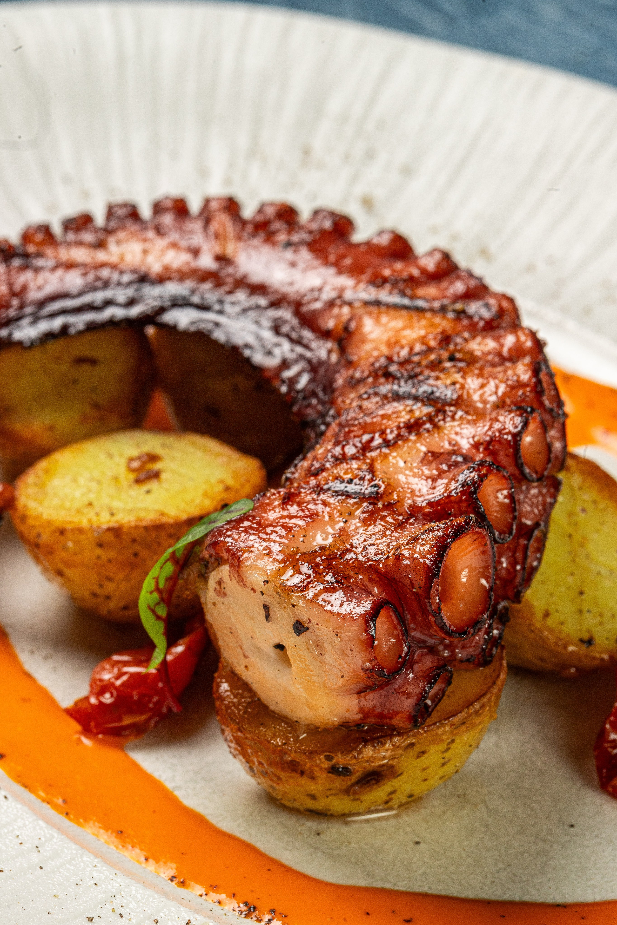 Сочный осьминог с картофелем на белой тарелке в ресторане