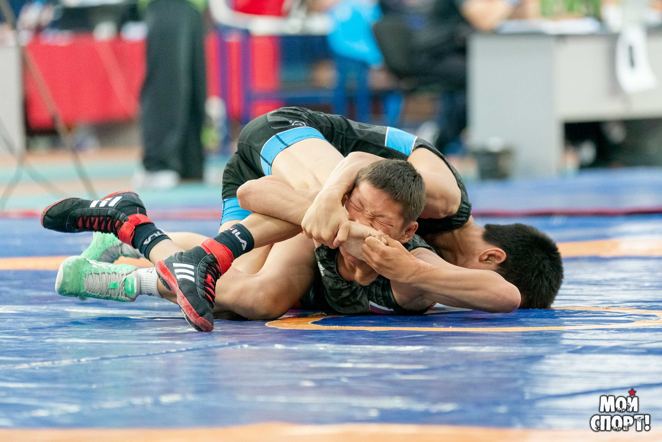 Международный, всероссийский и республиканский турниры по вольной борьбе среди юношей в честь П. П. Пинигина. Студия «Мой Спорт!» — все о спорте в Якутии