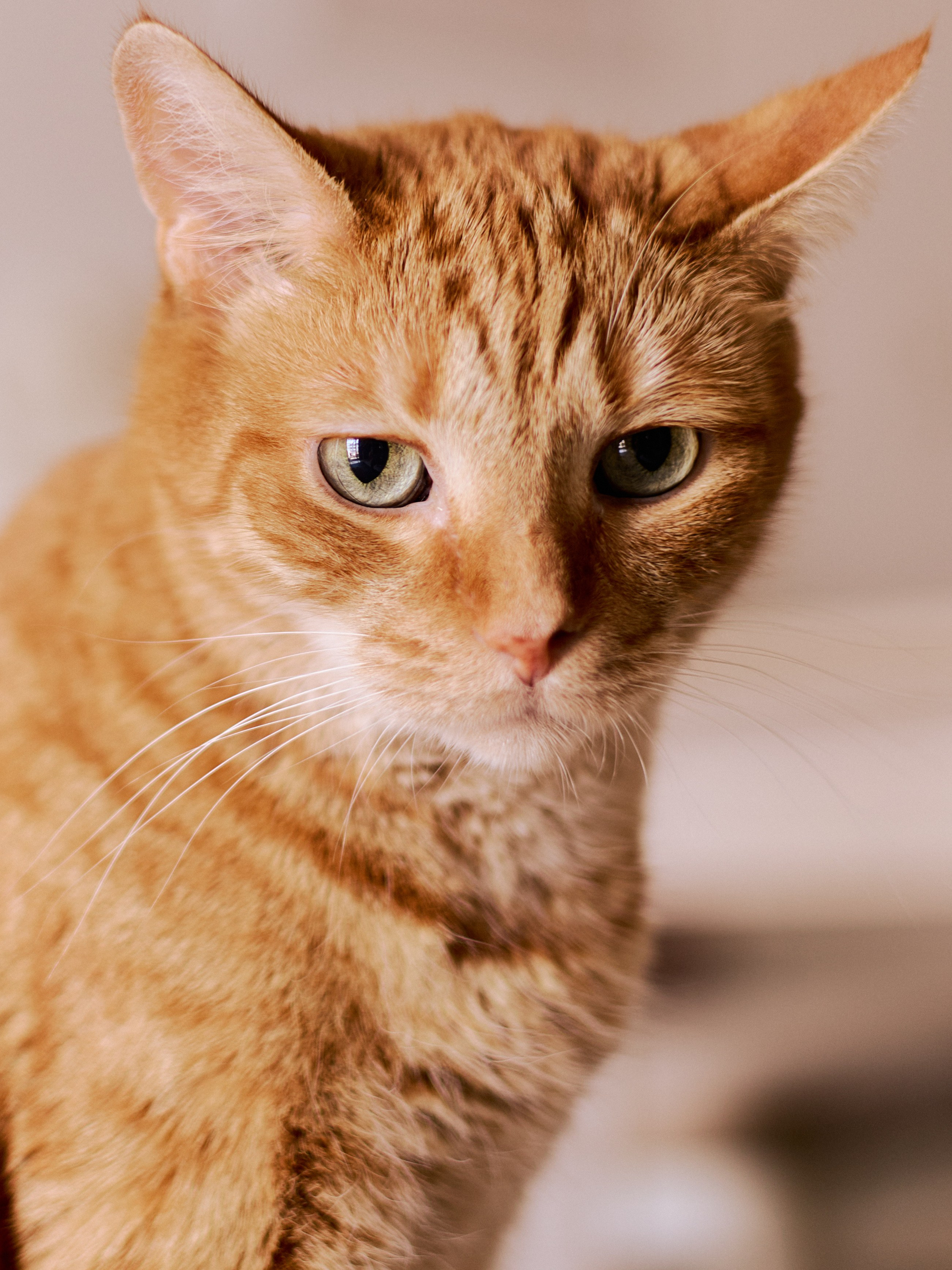 Другое 3. Jorgis Talè — photographer, kind person, teacher of arts and other mag