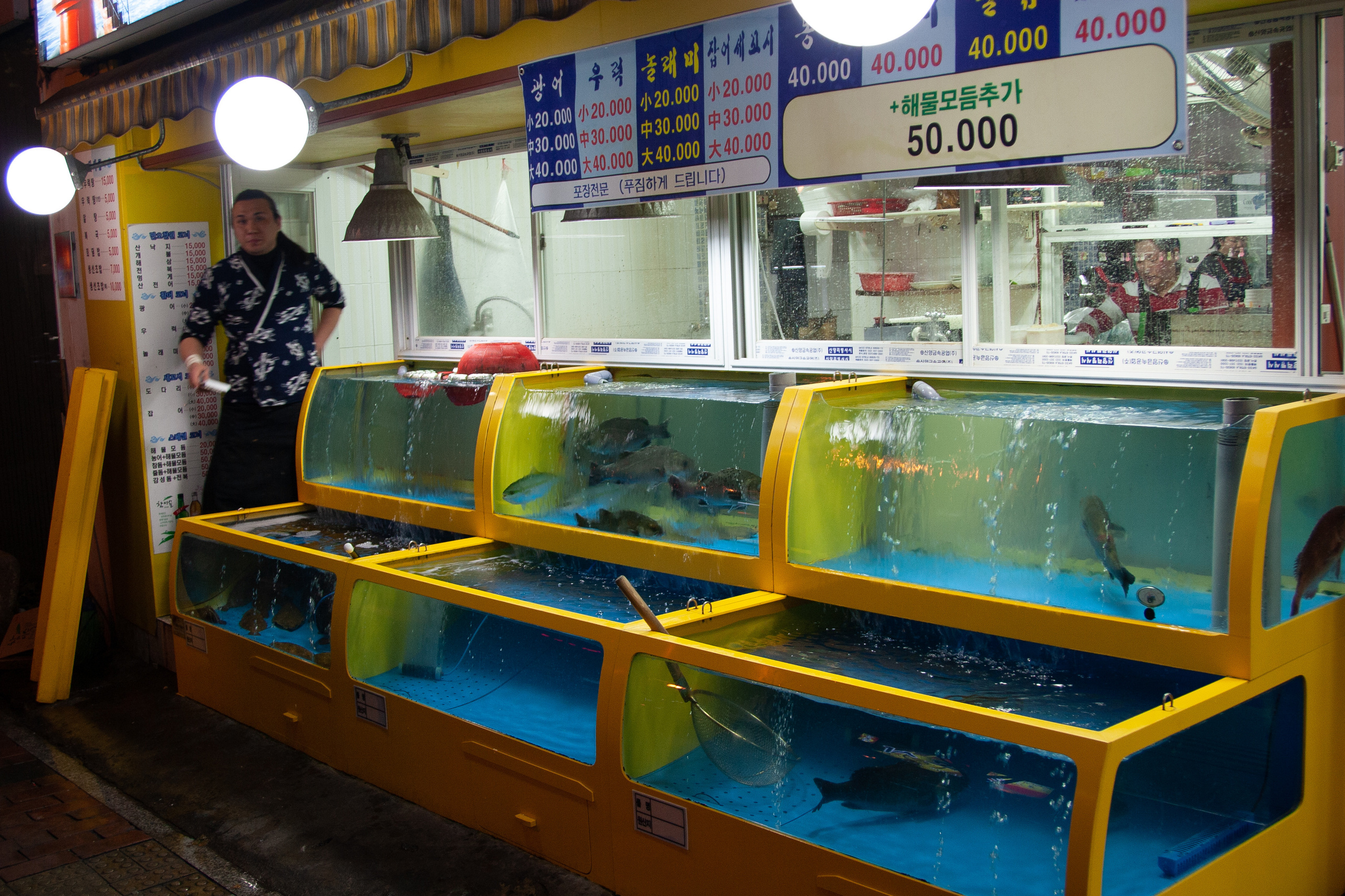 seoul, street photography