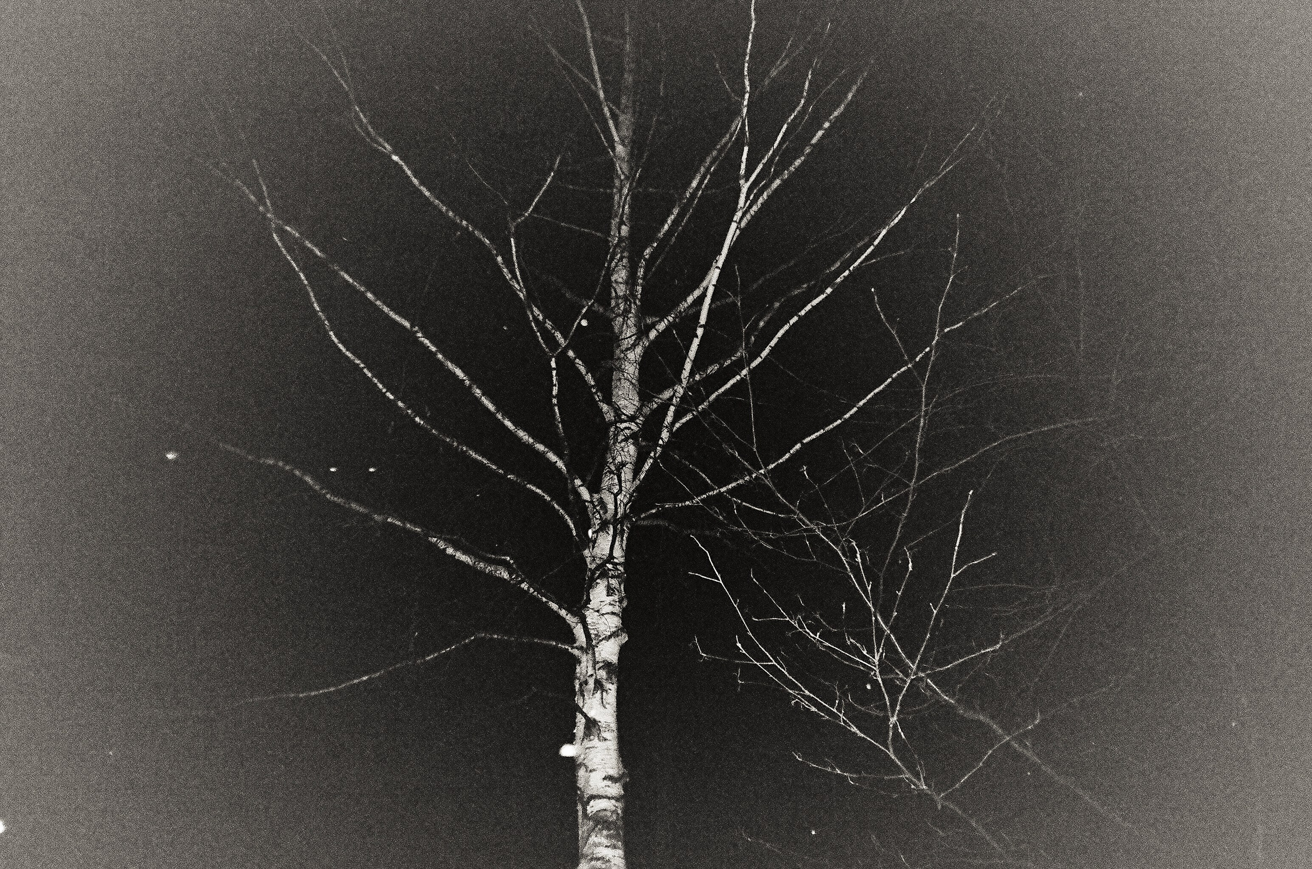 Плёнка 35/120мм. Katya Medvedeva