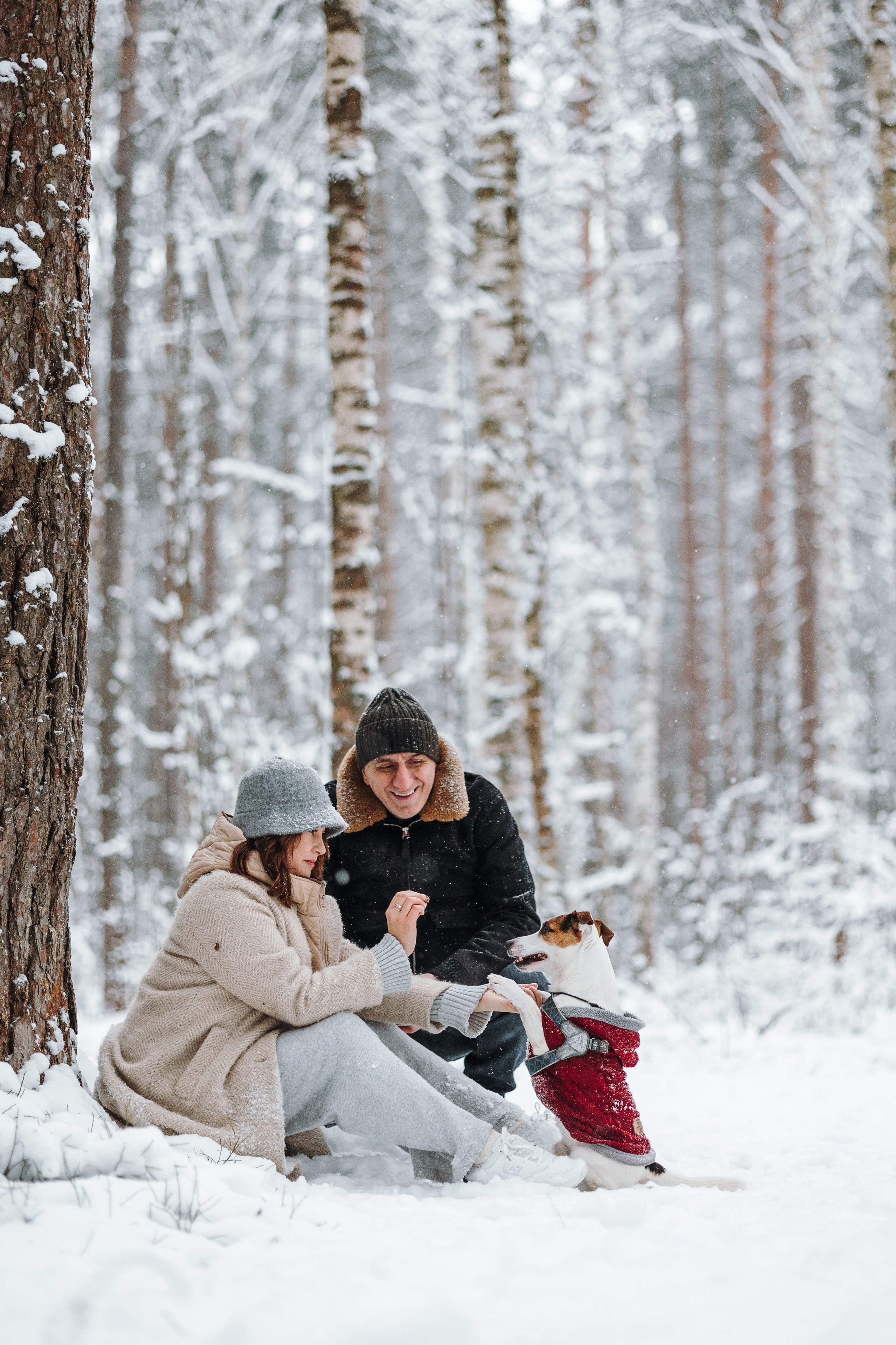 Мики и его семья. Фотограф — Анималист | Санкт-Петербург