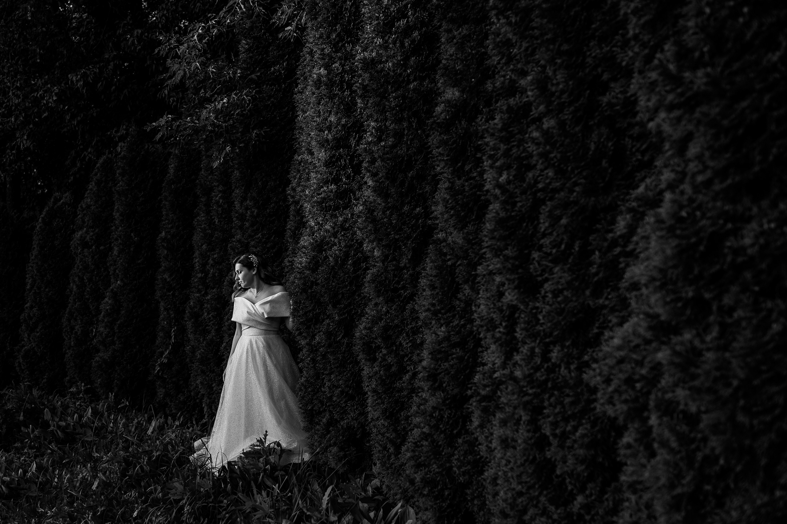 Портрет невесты в Артиленд