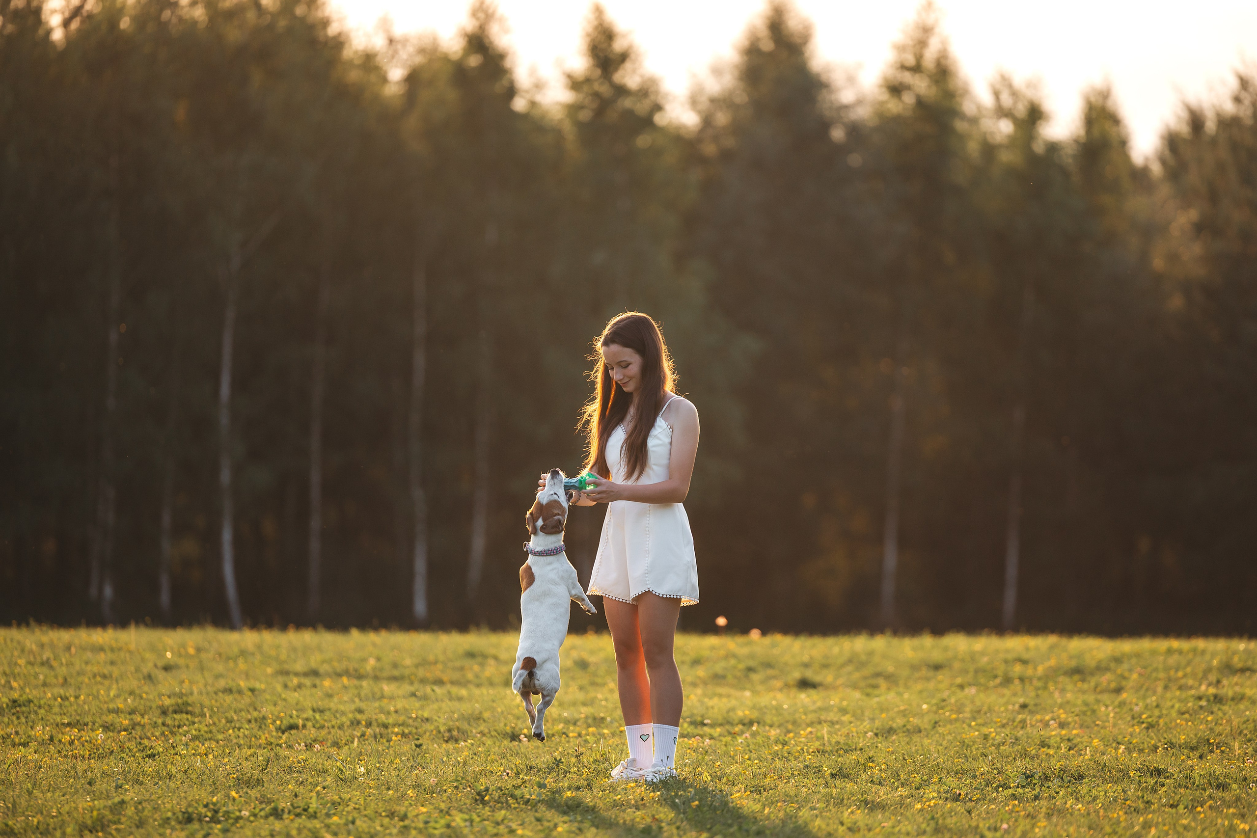 Юлиана и Риф (в обработке). Фотограф Анималист в Москве Анастасия Жучкова