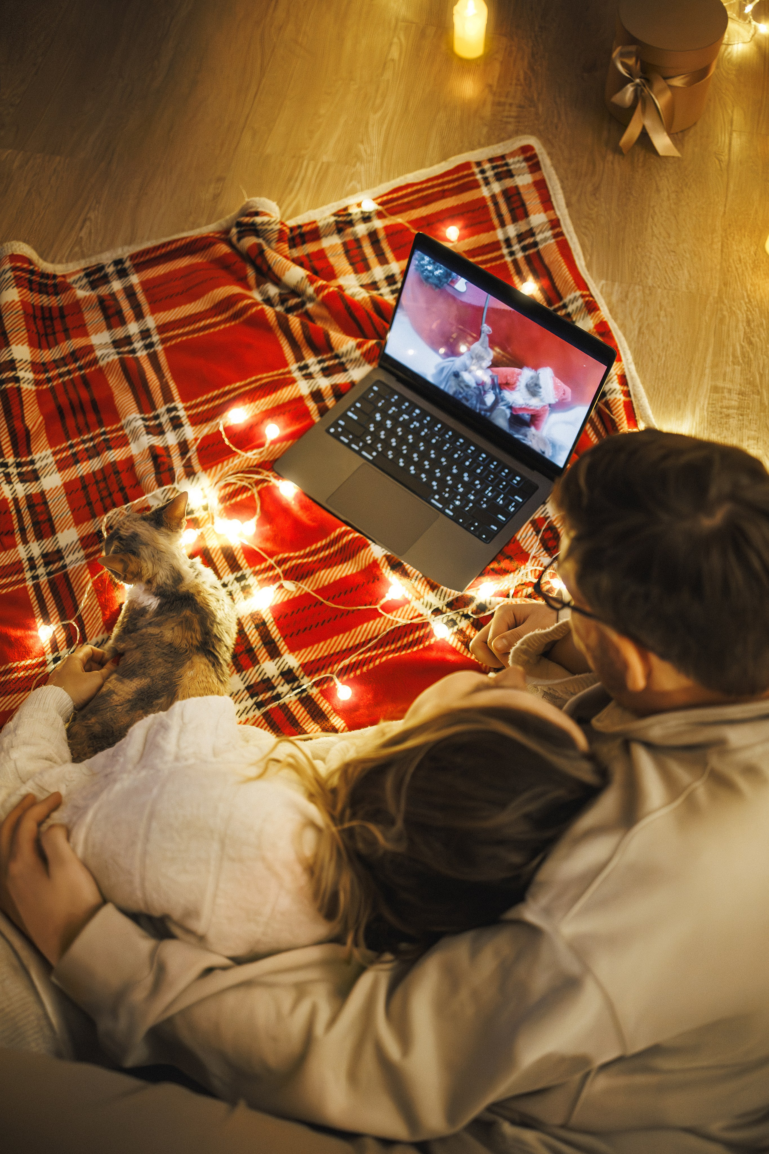 Домашняя новогодняя. Фотограф Анималист в Москве Анастасия Жучкова