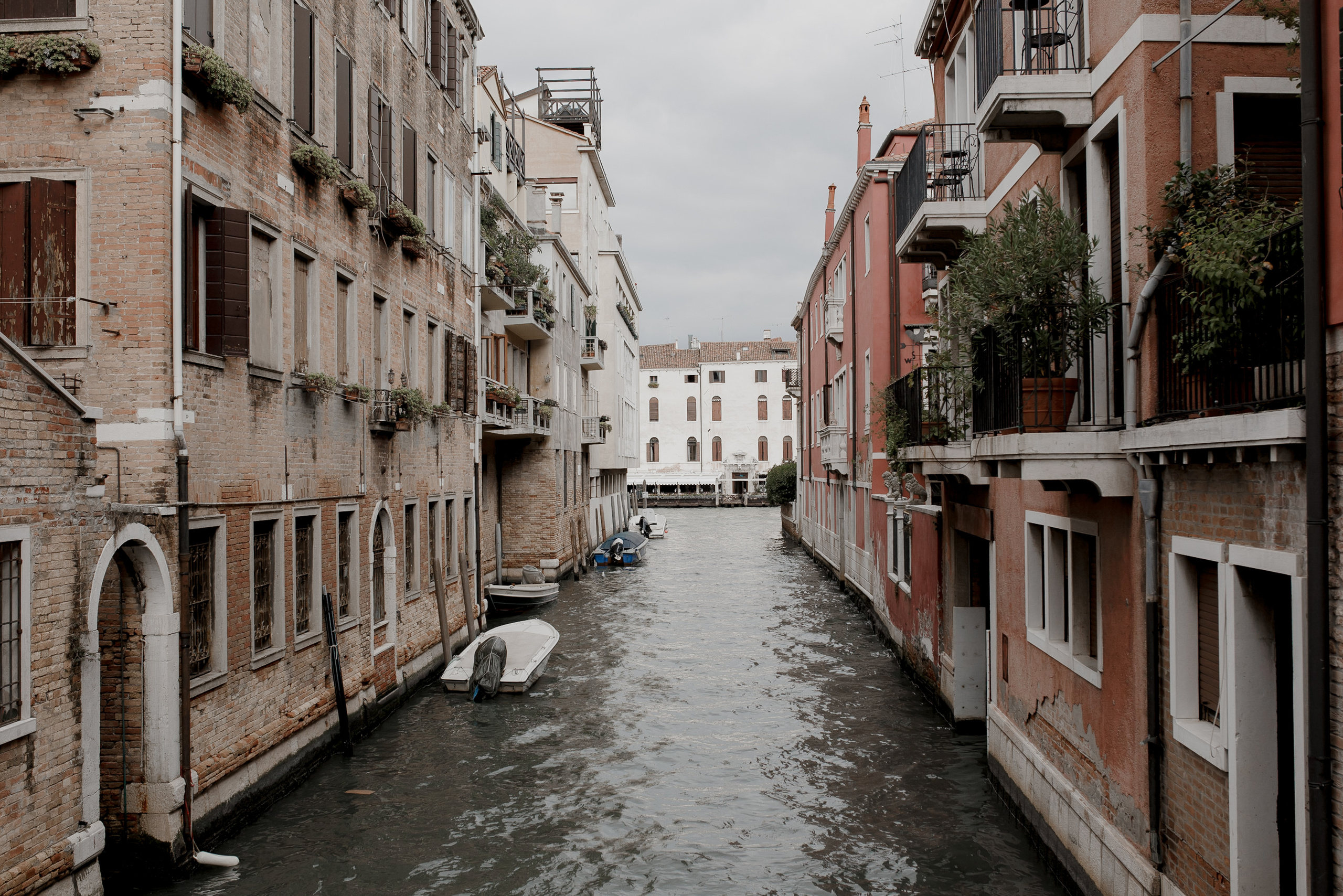 Алена и Антон. Свадебный фотограф Павел Щекин