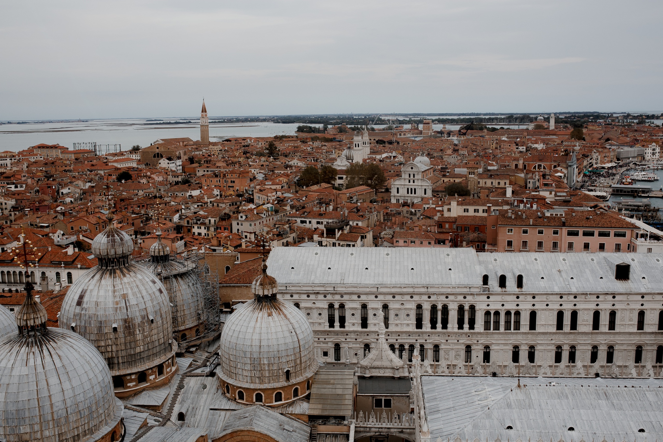 Алена и Антон. Свадебный фотограф Павел Щекин