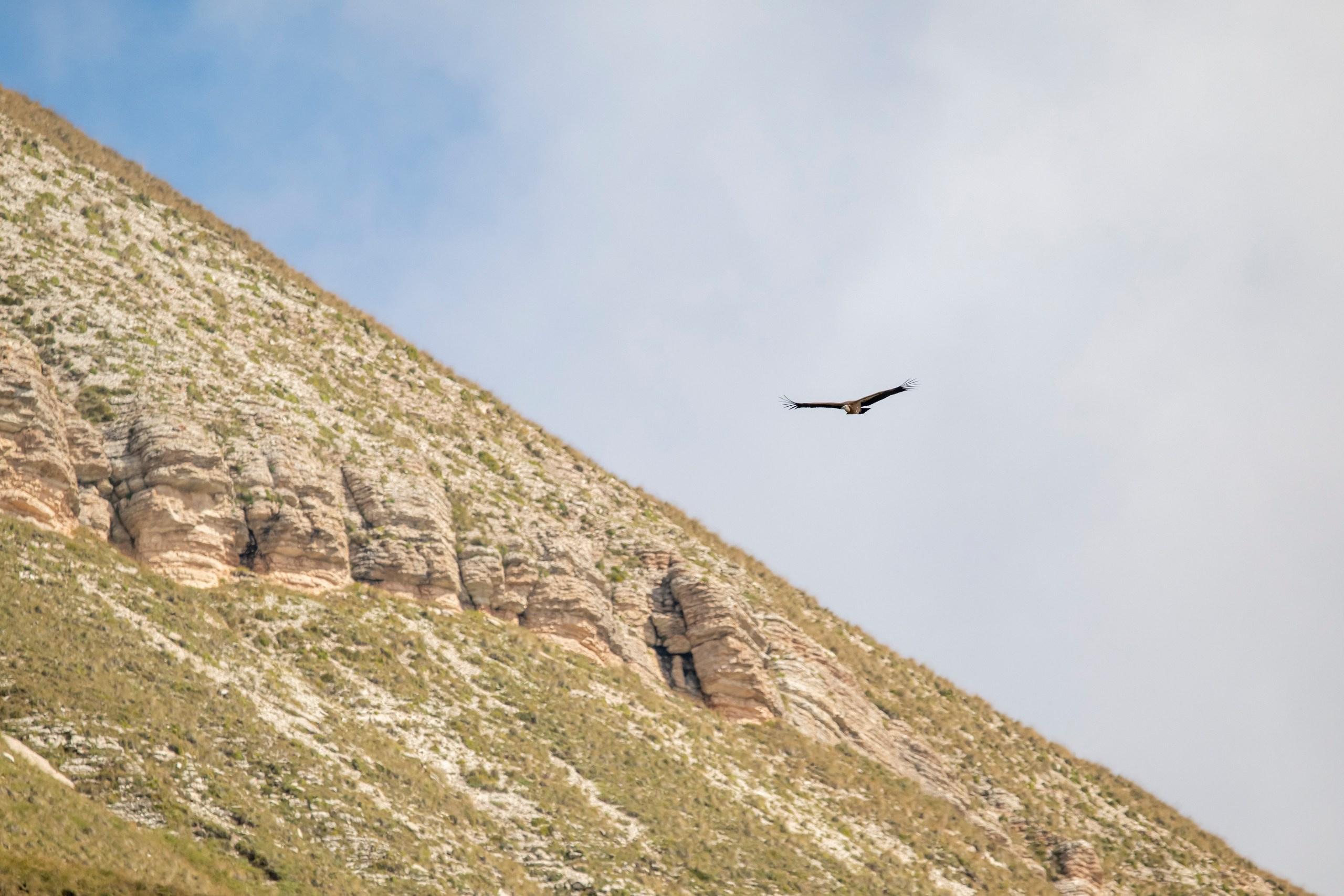 Природа Дагестана, сентябрь 2024. Foto-Zuev фотография как искусство
