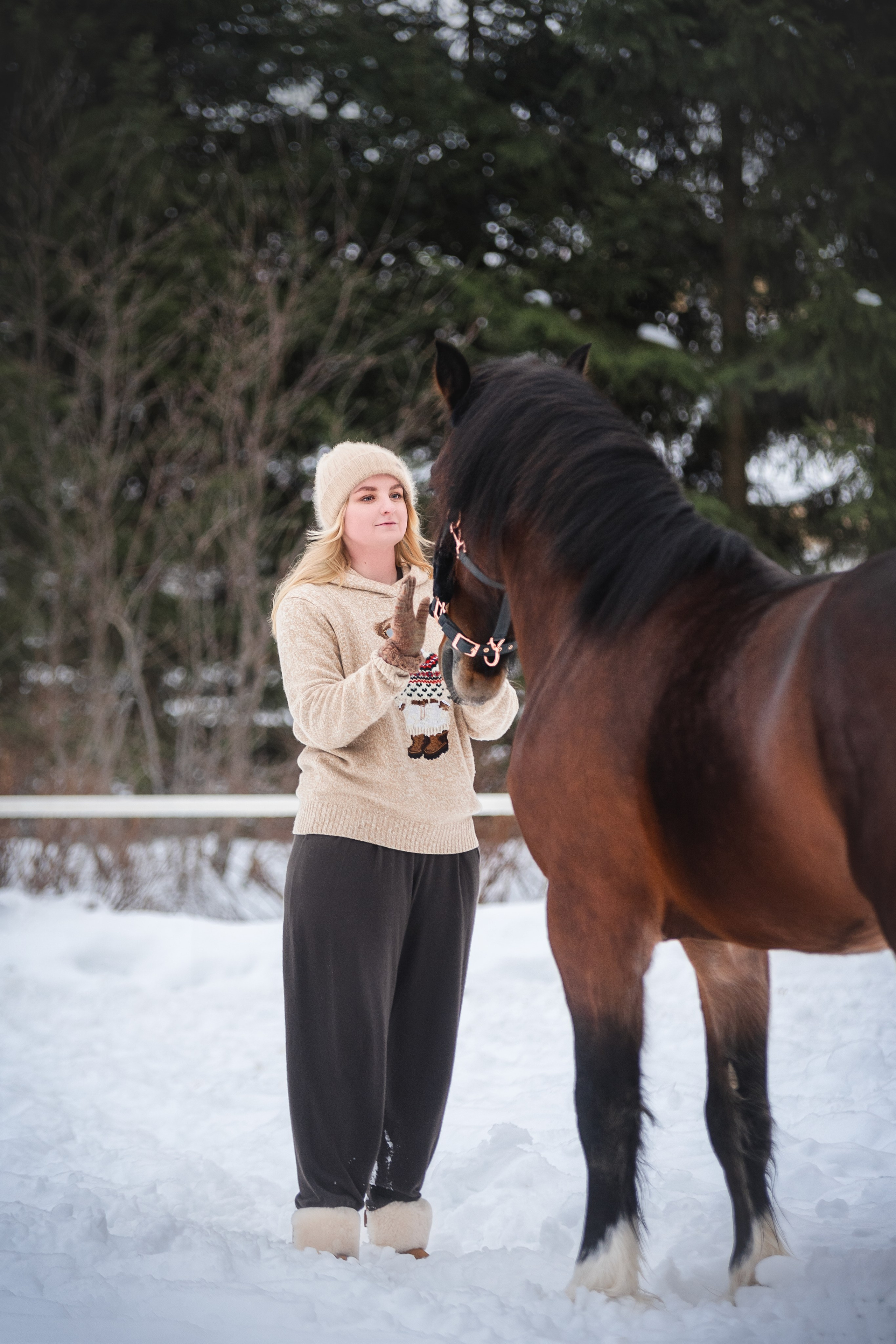Новогодний Волконский. Конный фотограф Куракина Дарья • Фотосессии с лошадьми
