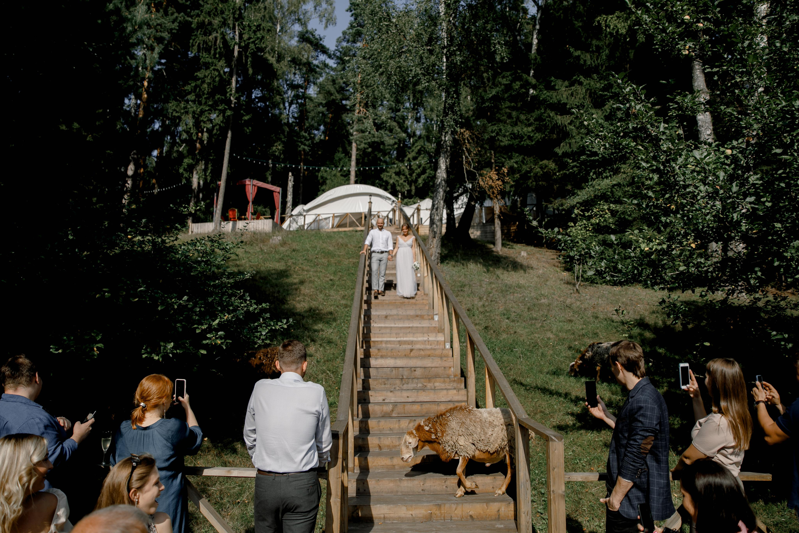Юля и Кирилл. Свадебный и семейный фотограф в Москве Алексей Калиновский