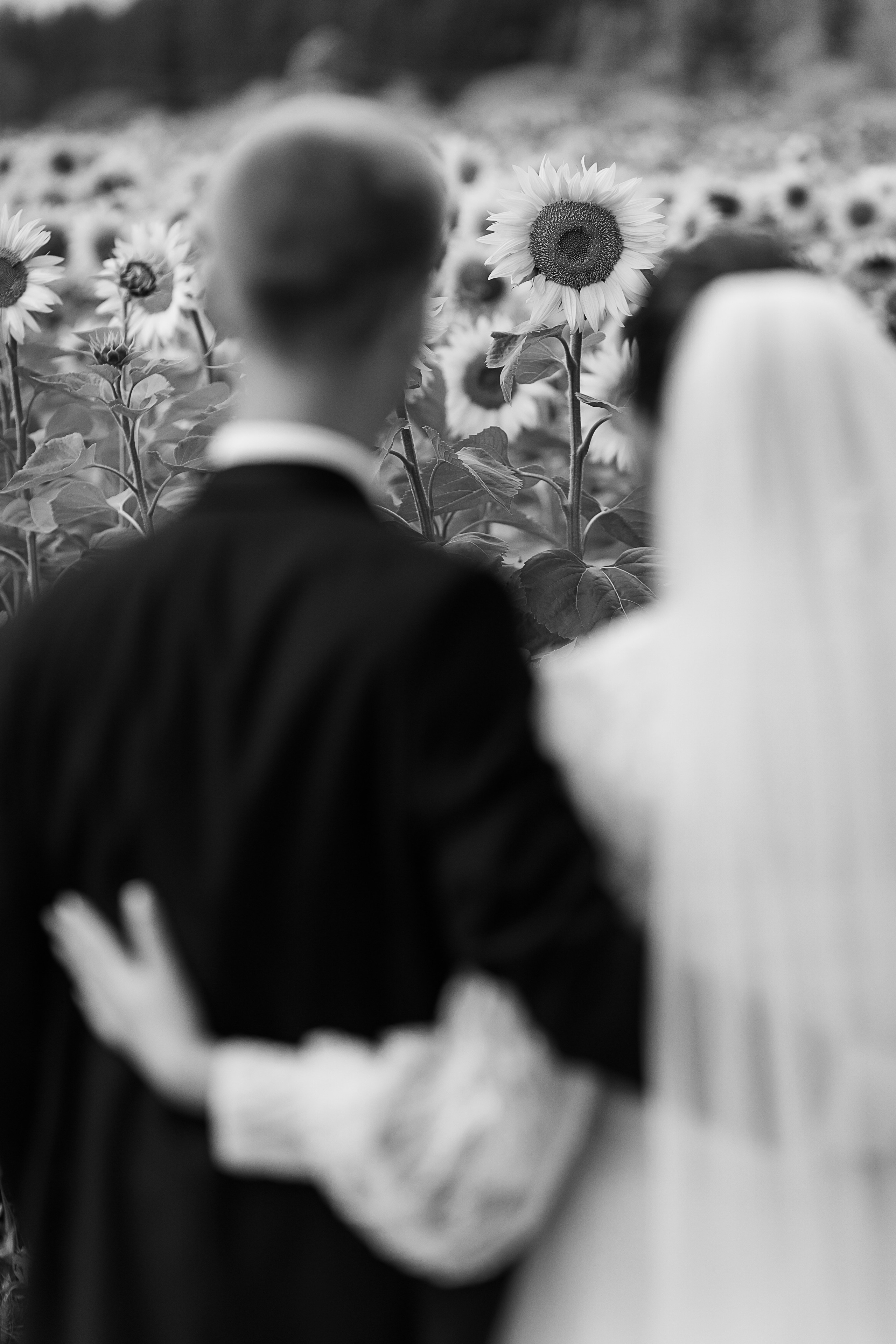 Свадьба Светы и Саши. Свадебный и семейный фотограф в Твери и Тверской области