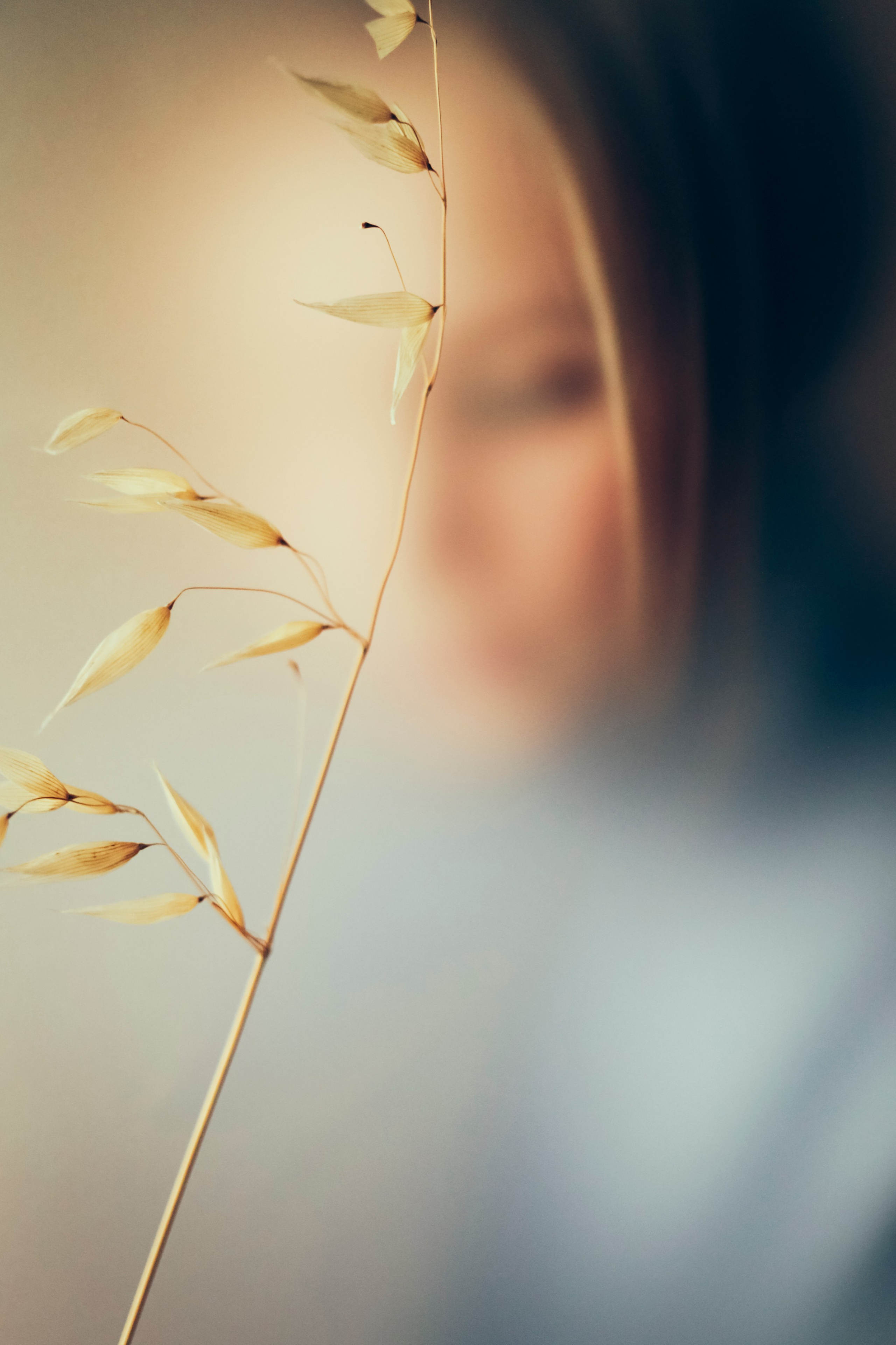 Арт-фотография