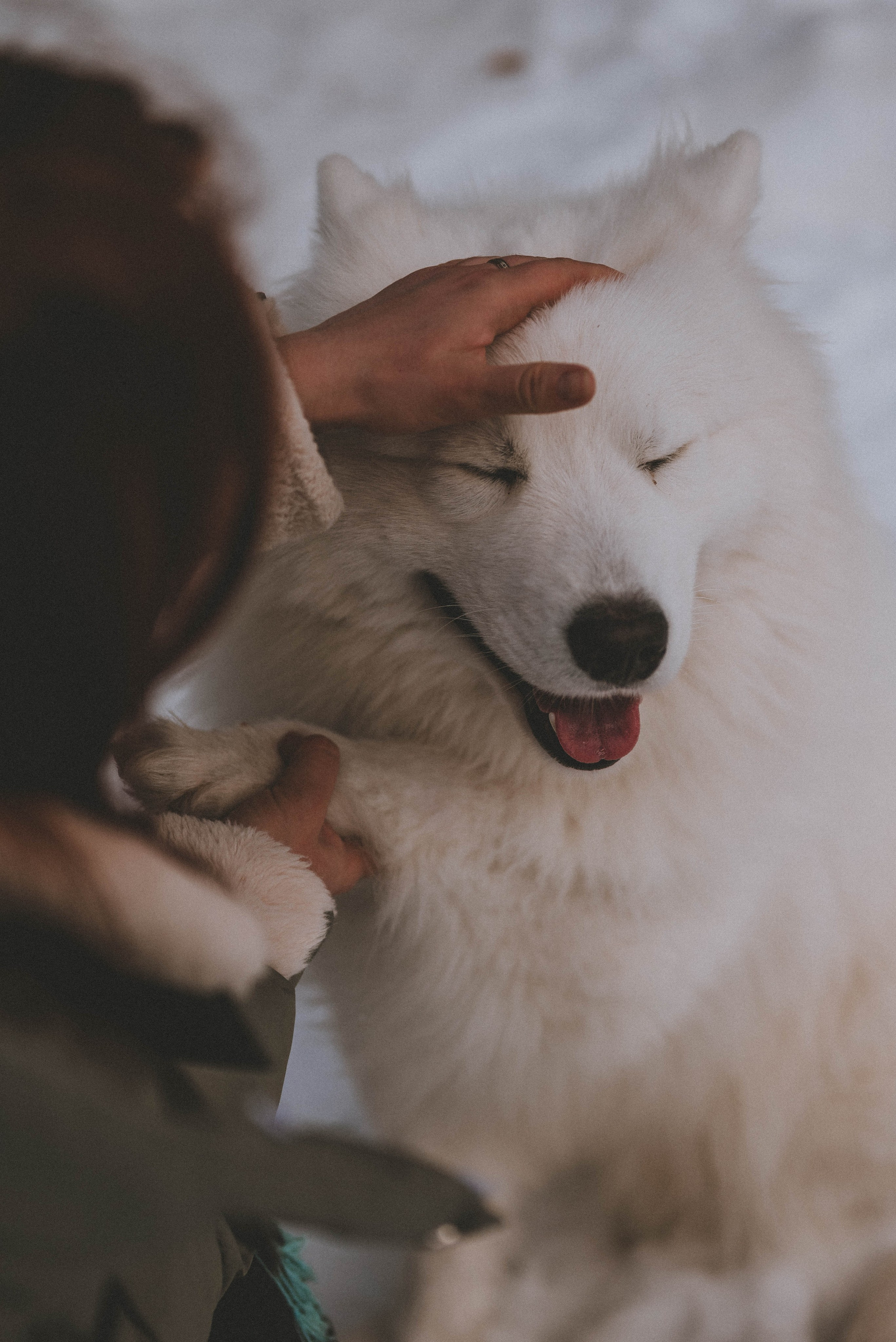 Евгений и Юлия с Каем. Фотограф Кристина Пархоменко