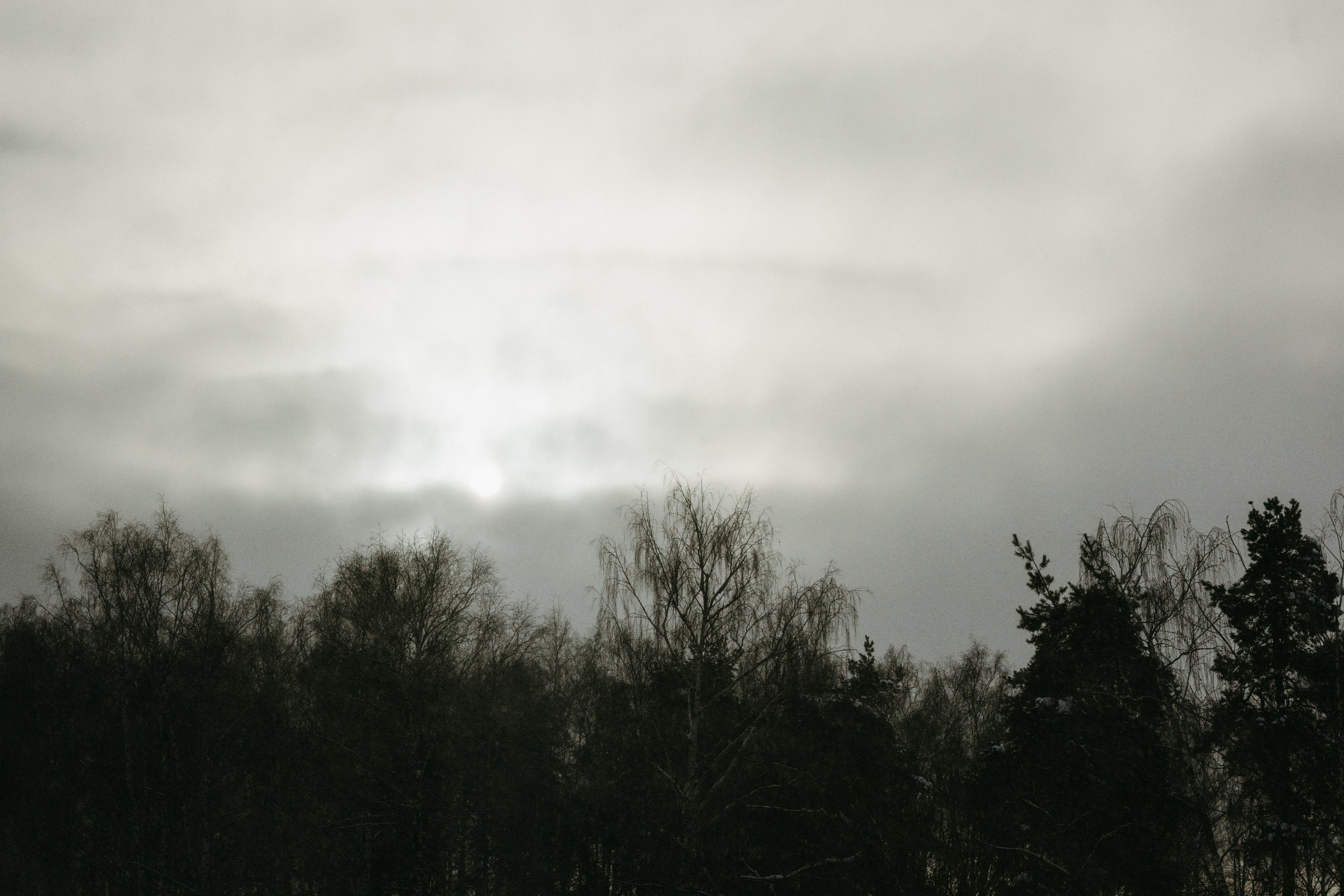 Виды из поезда. Фотограф Эльмира Лин