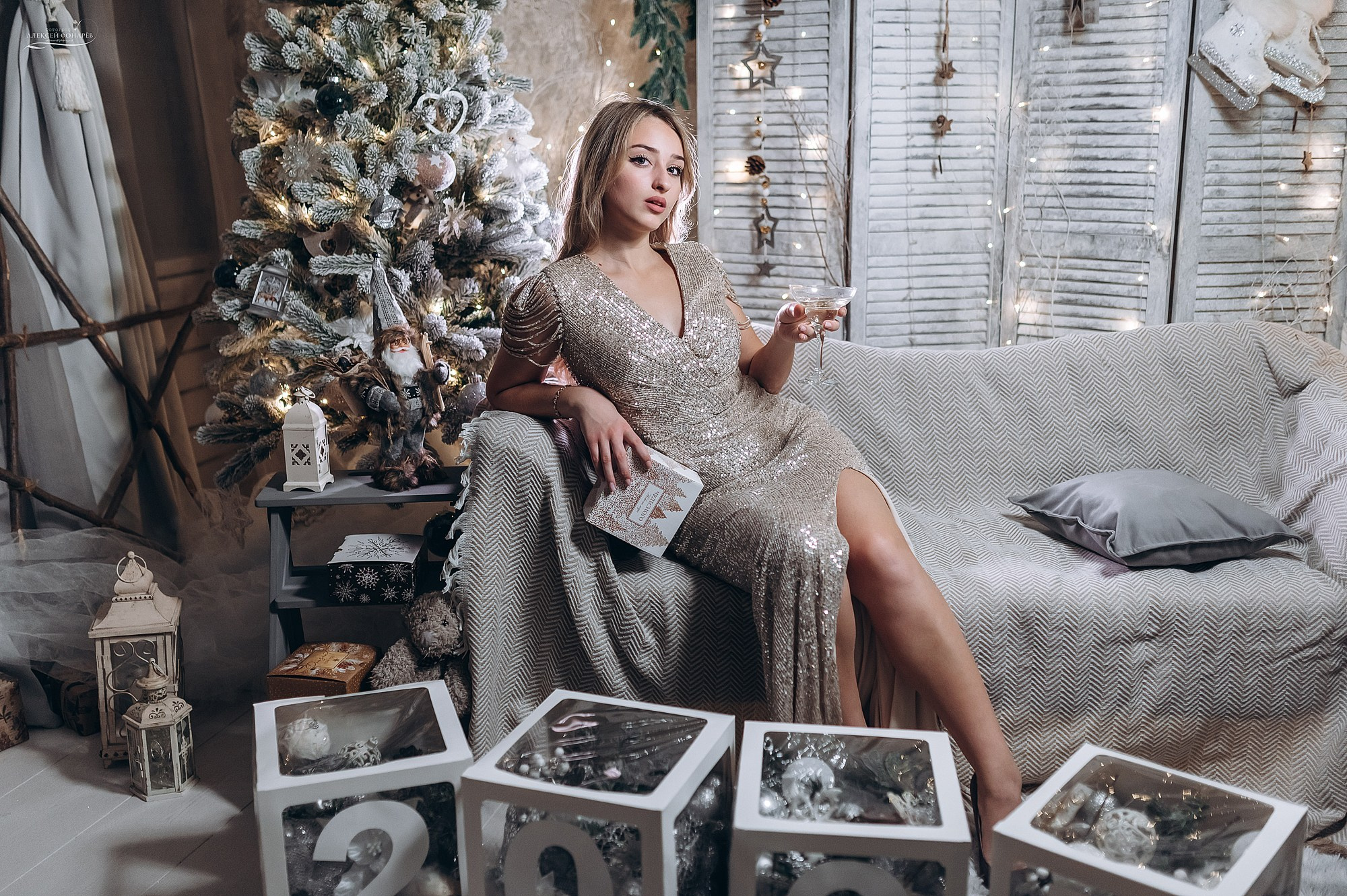 Новогодняя фотостудия в Дубне Кимрах Талдоме. Свадебный фотограф в Дубне Алексей Фонарёв