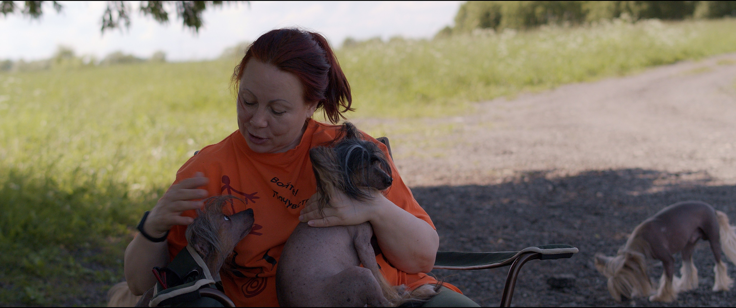 Footage from the interview. Poale Ell Chinese Crested Dog Kennel: Buy a puppy from the kennel