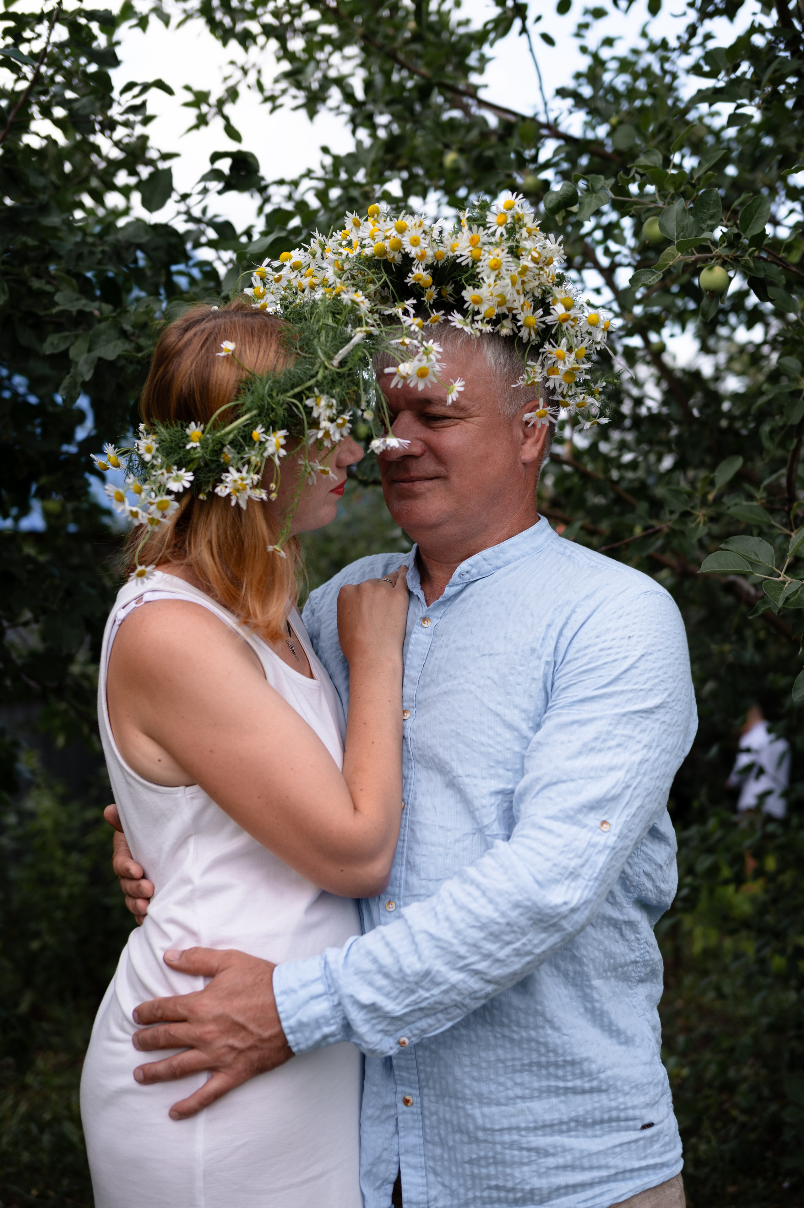 Ромашки и утята. Главная