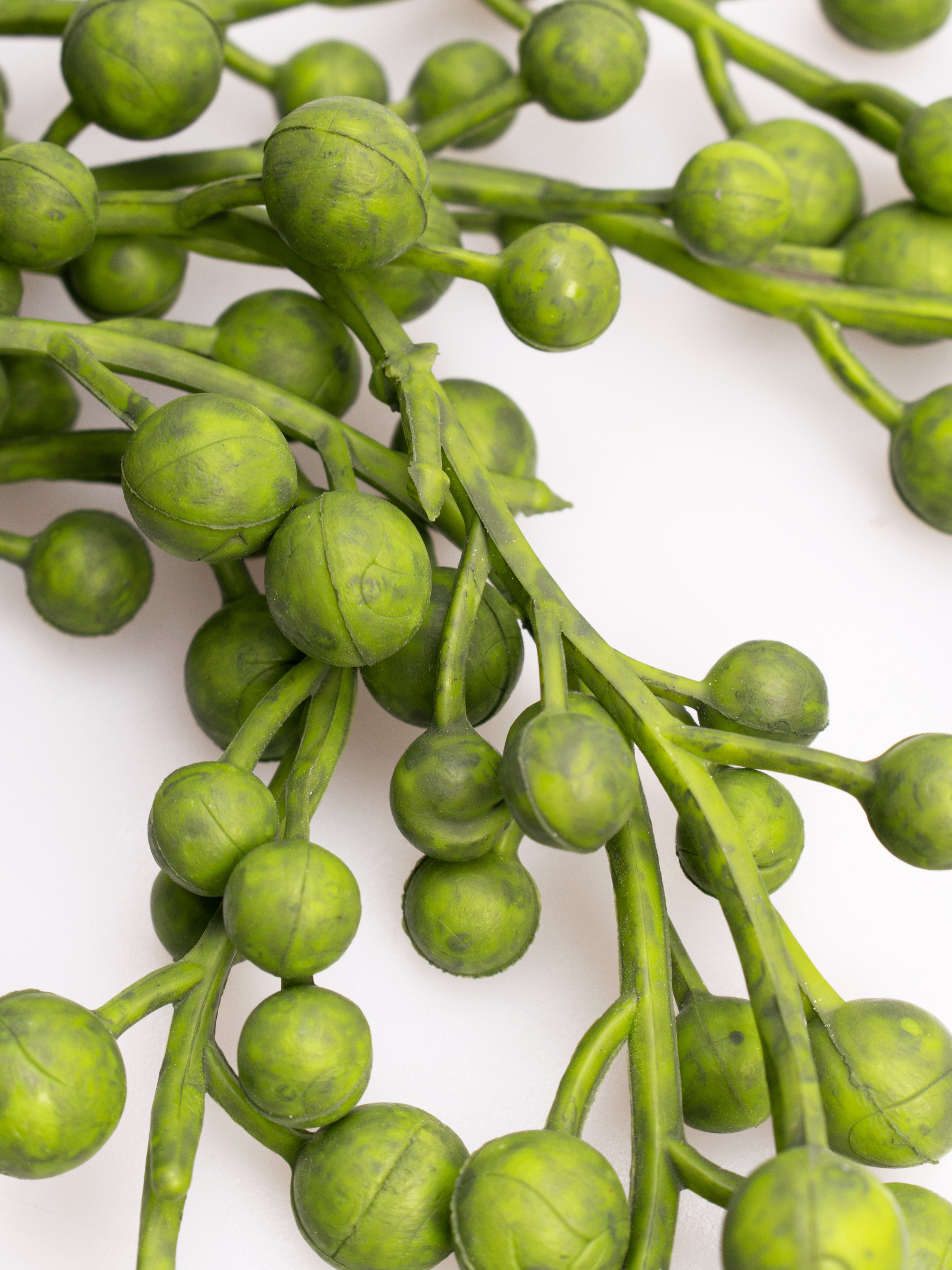 Предметная съёмка на белом фоне. Главная