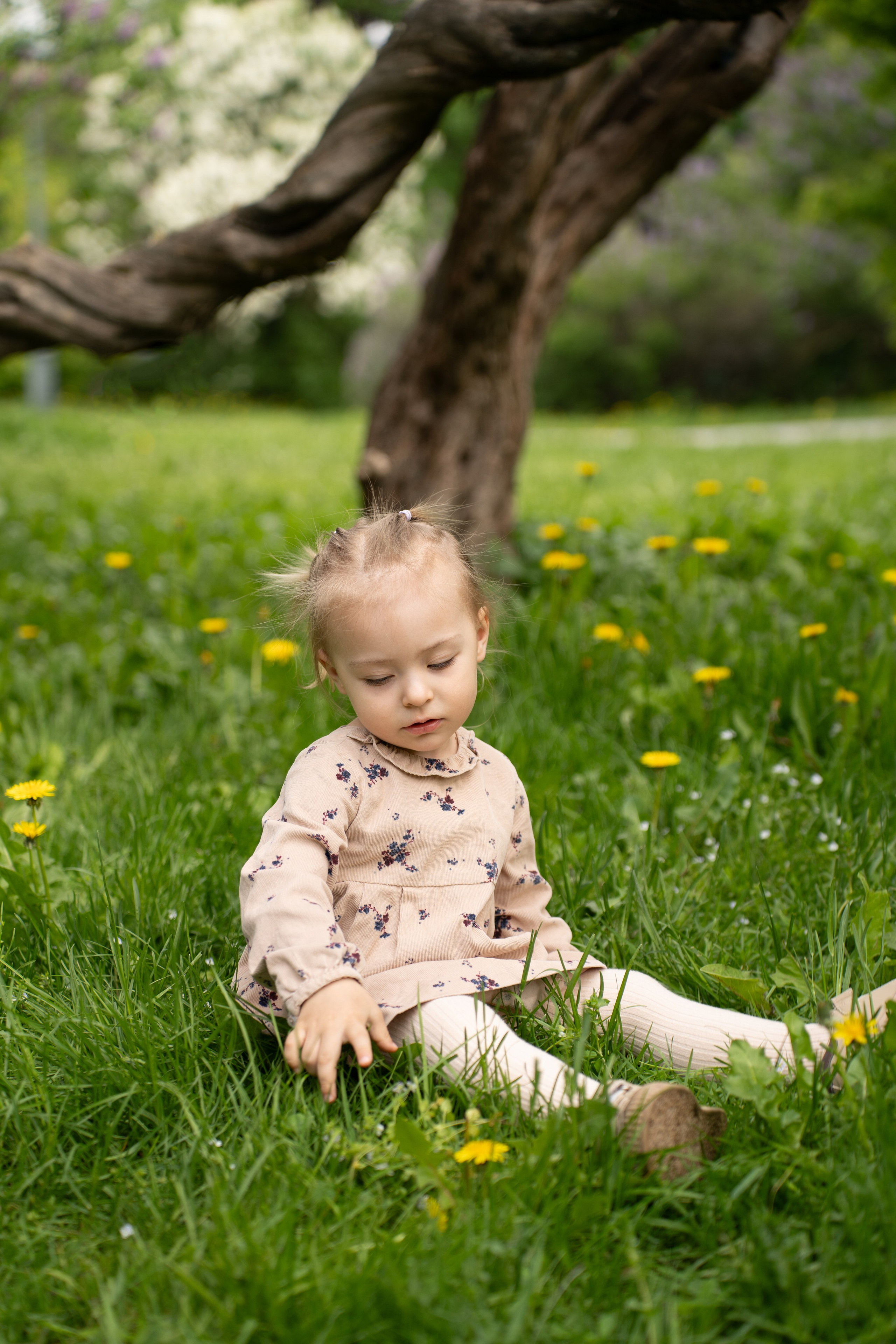 Семейная фотосессия. Ньюборн и семейный фотограф в Москве Светлана