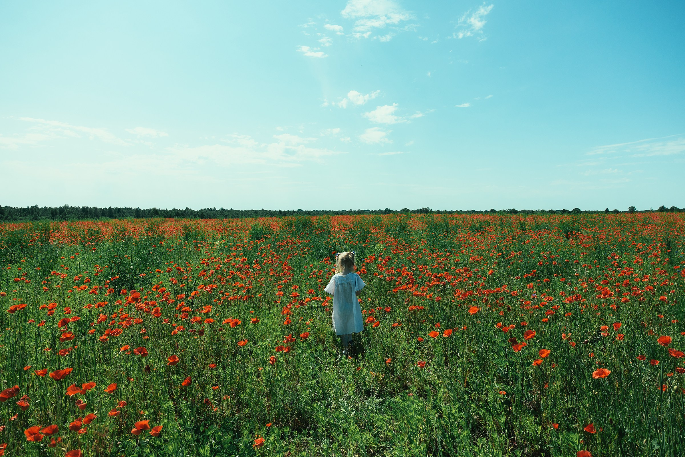 Фотосессия в поле