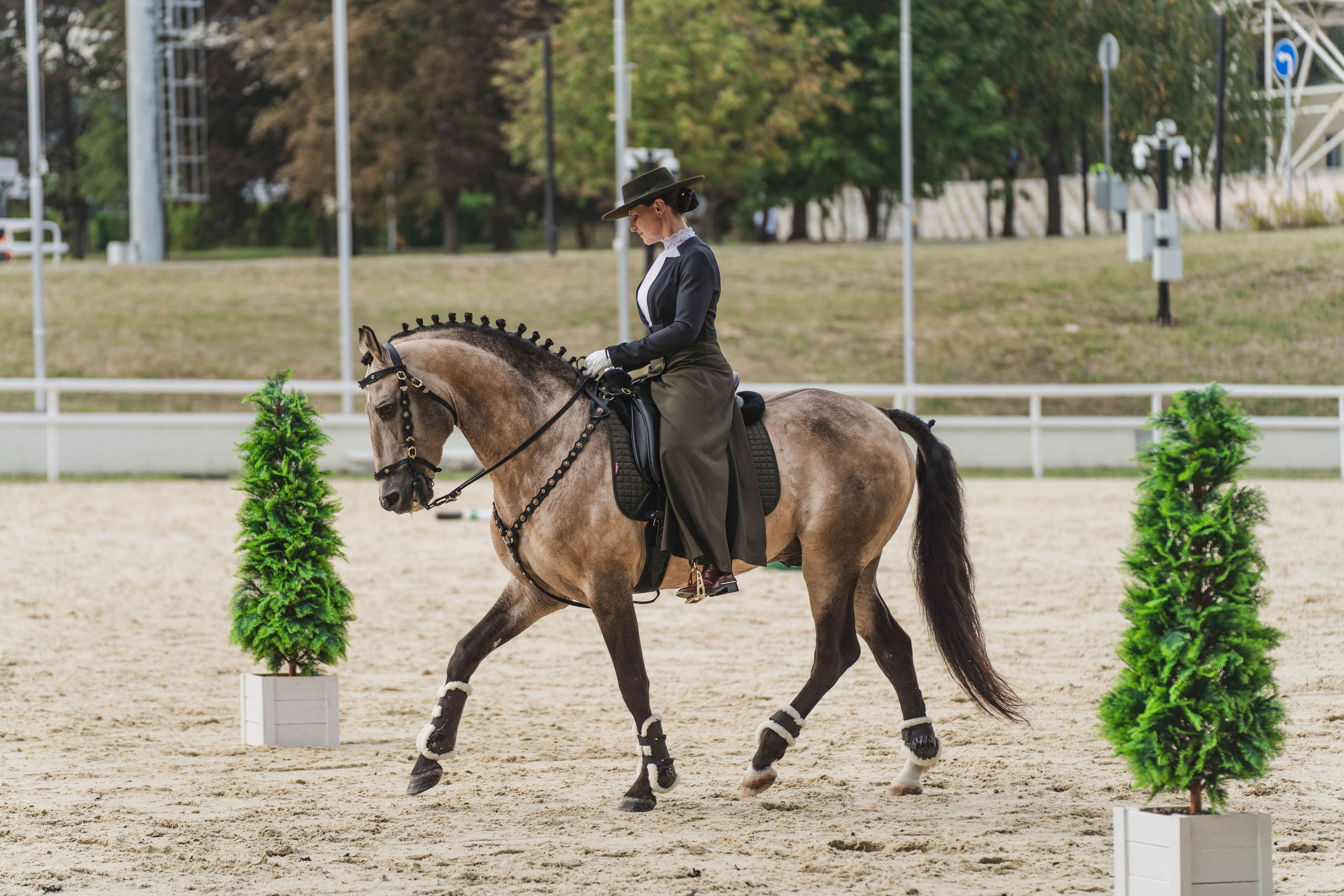 Мастер-класс по рабочей выездке. Фотограф в Москве Ленарская Дарья