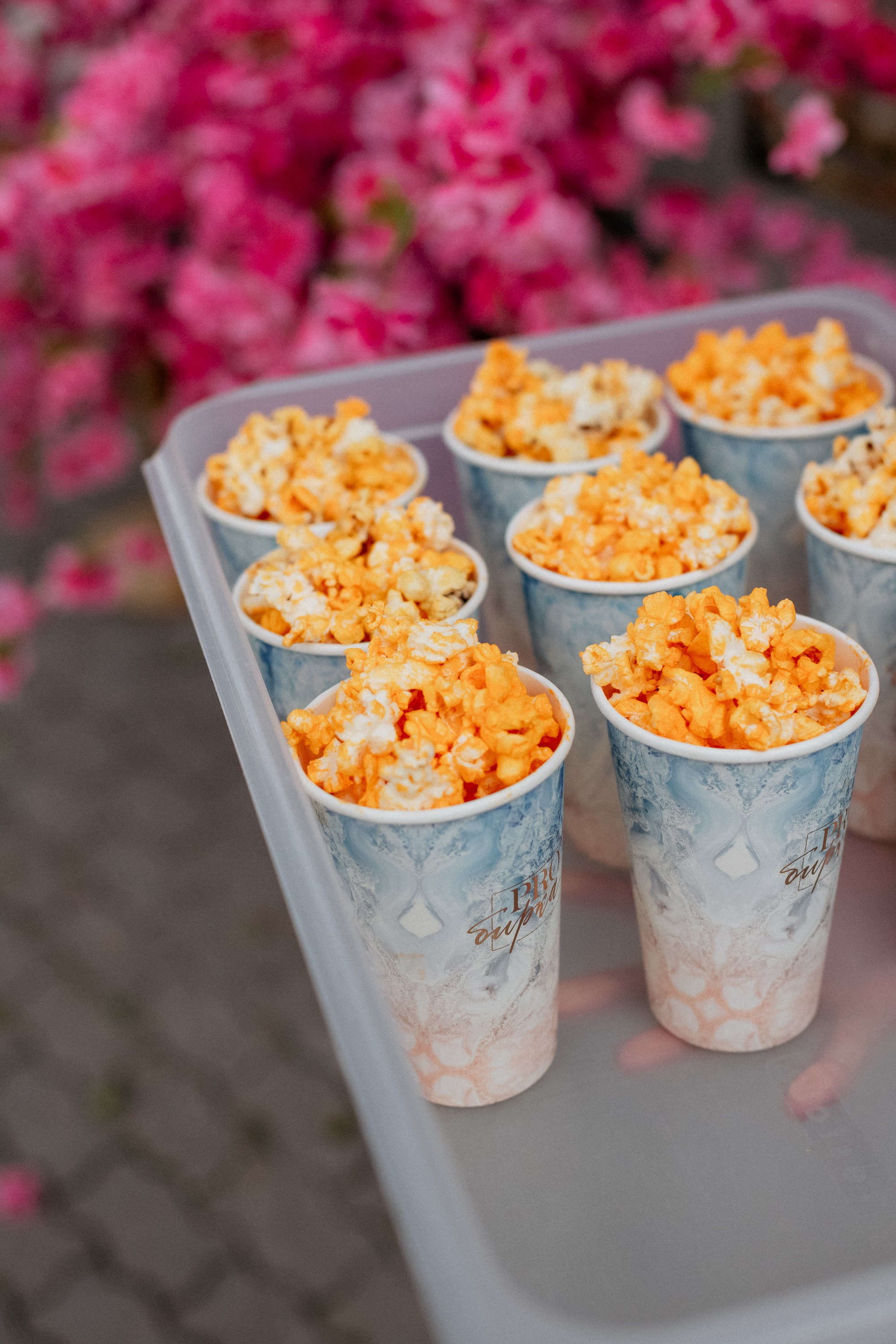 PROBIRKA21 — КИНОПОКАЗ. СВОИ. ФОТООТЧЕТЫ-СОБЫТИЯ-МЕСТА