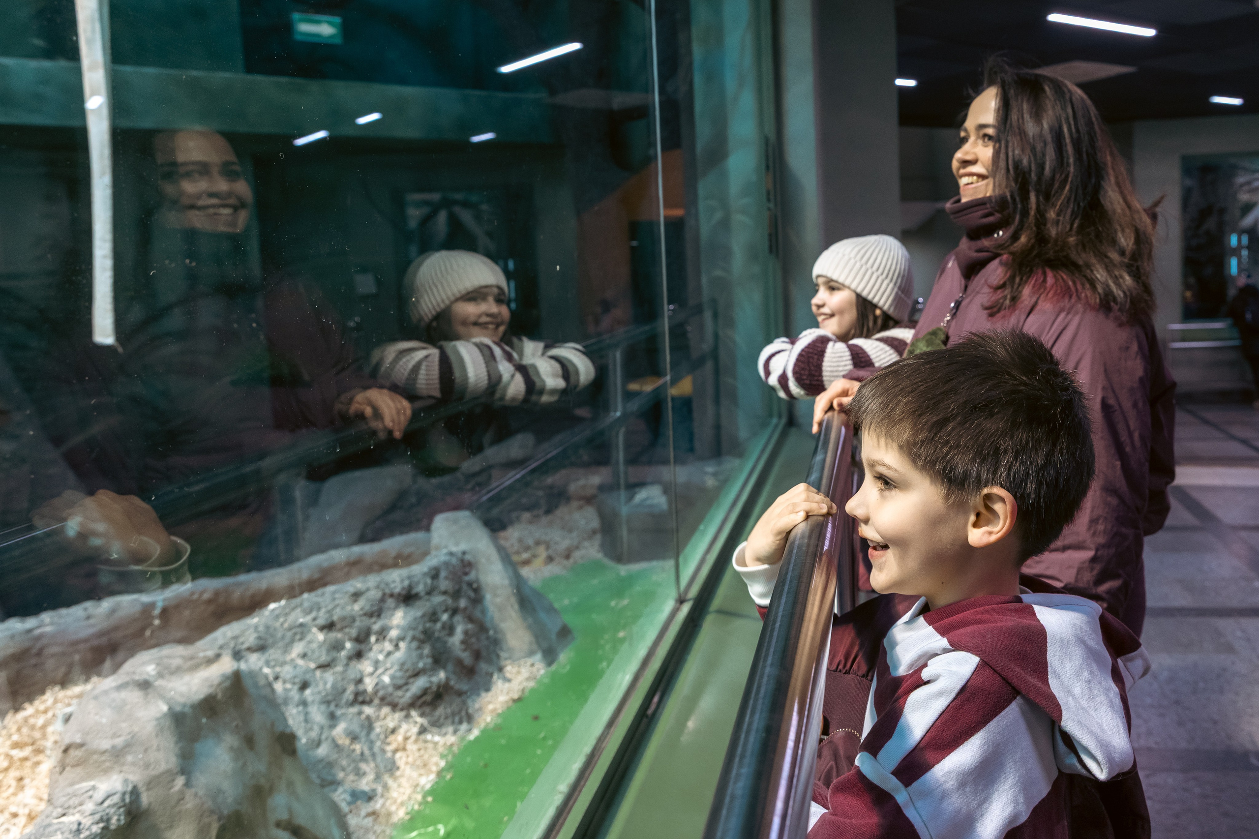 Zoo. Семейный фотограф Израиль