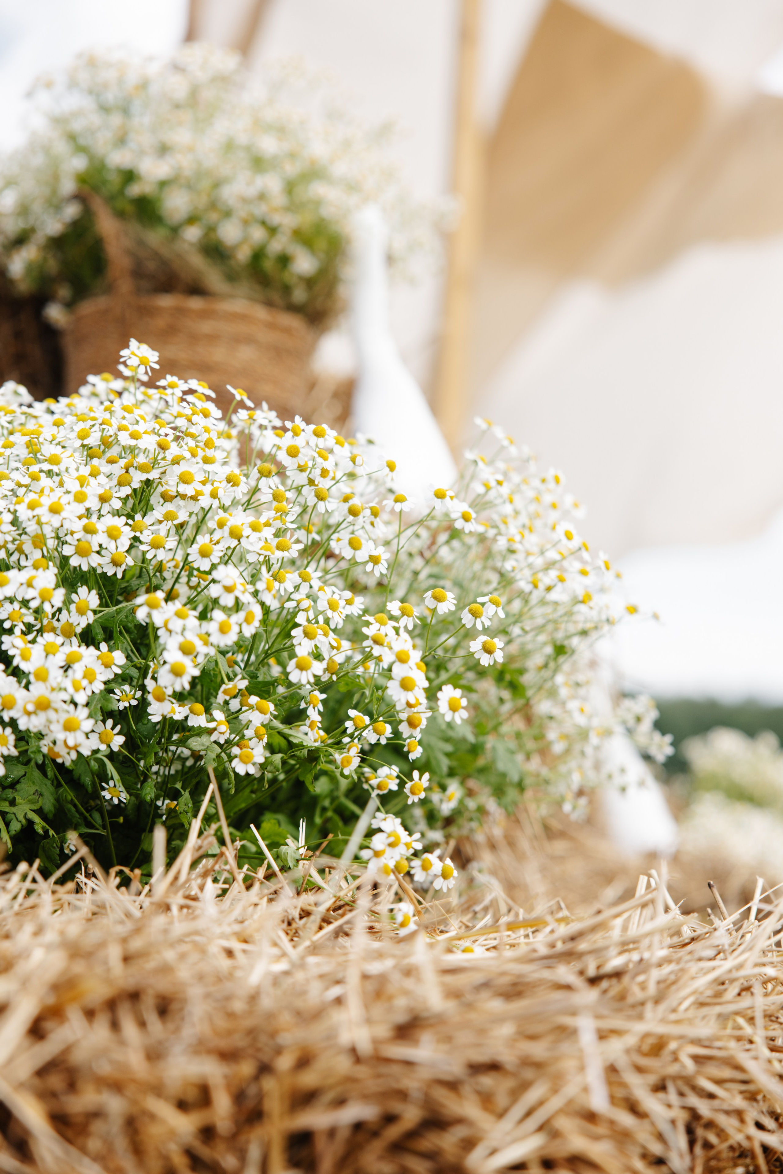 ГЕНДЕР ПАТИ. Фотограф в Красноярске
