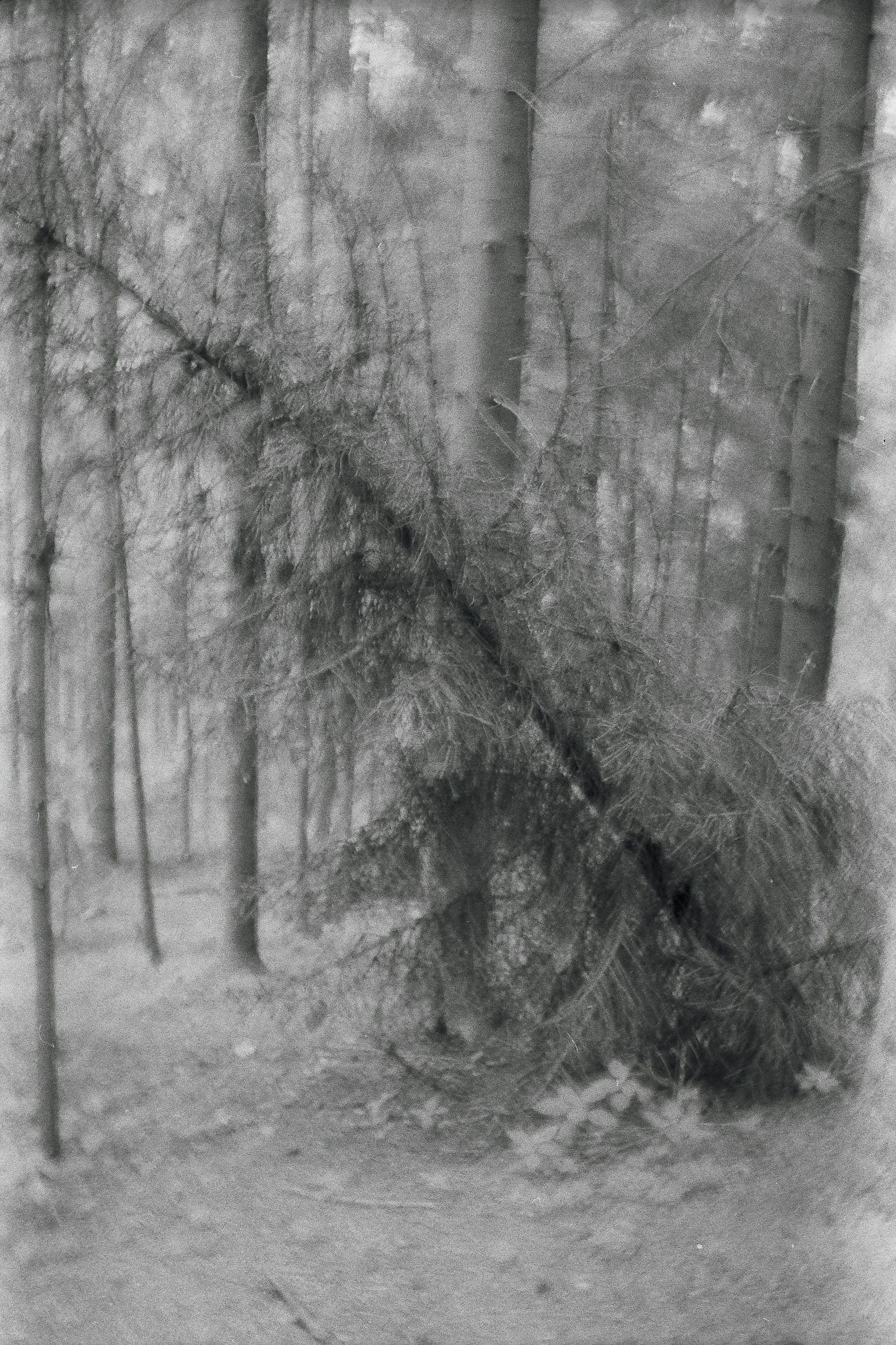 Bardo. Роман Ходырев — художник, фотограф, музыкант, эзотериолог. Санкт-Петербург, Рига